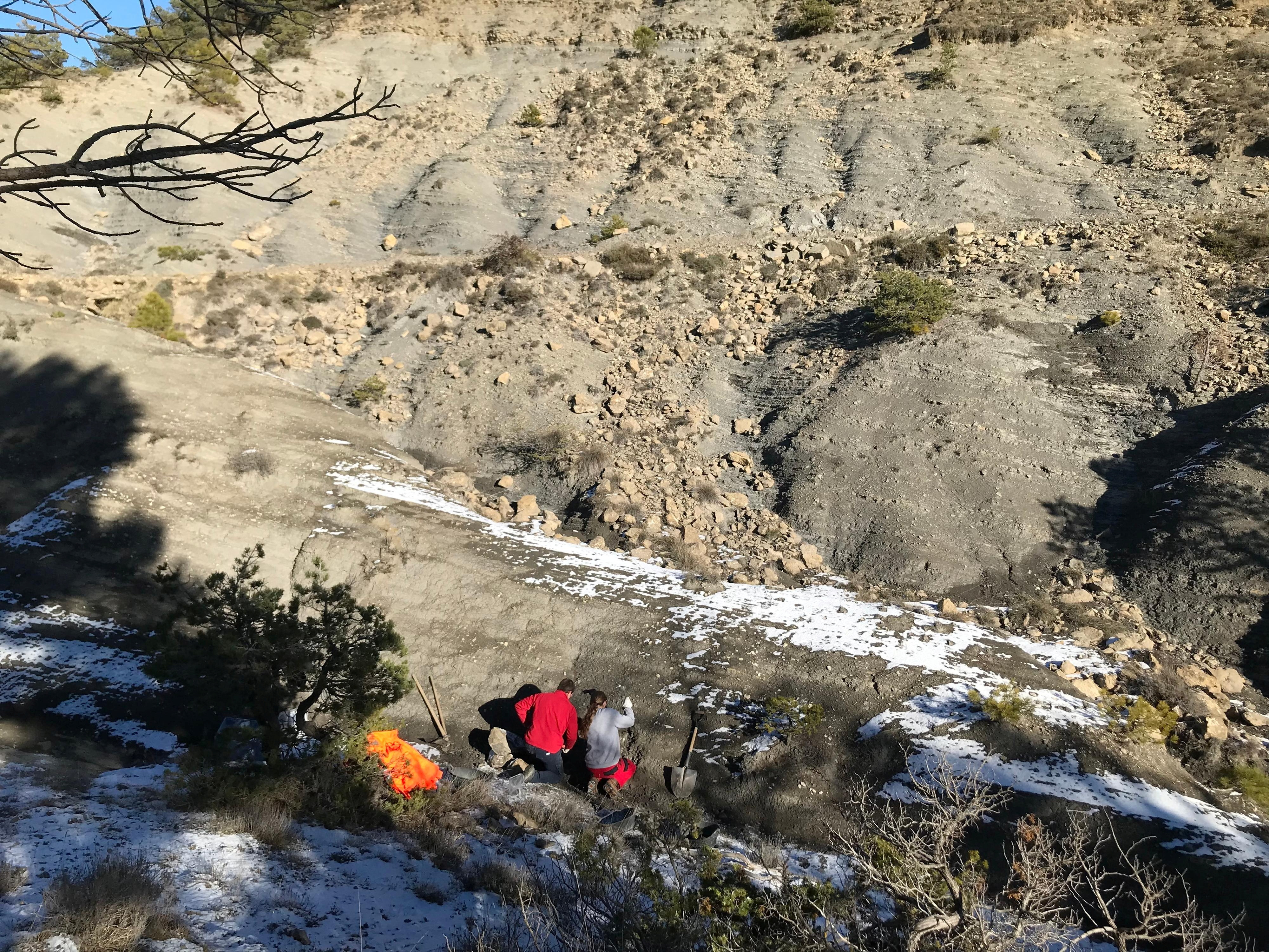カタロニアで発見された大型白亜紀ウミガメLeviathanochelys aenigmaticaの化石が発見された発掘現場