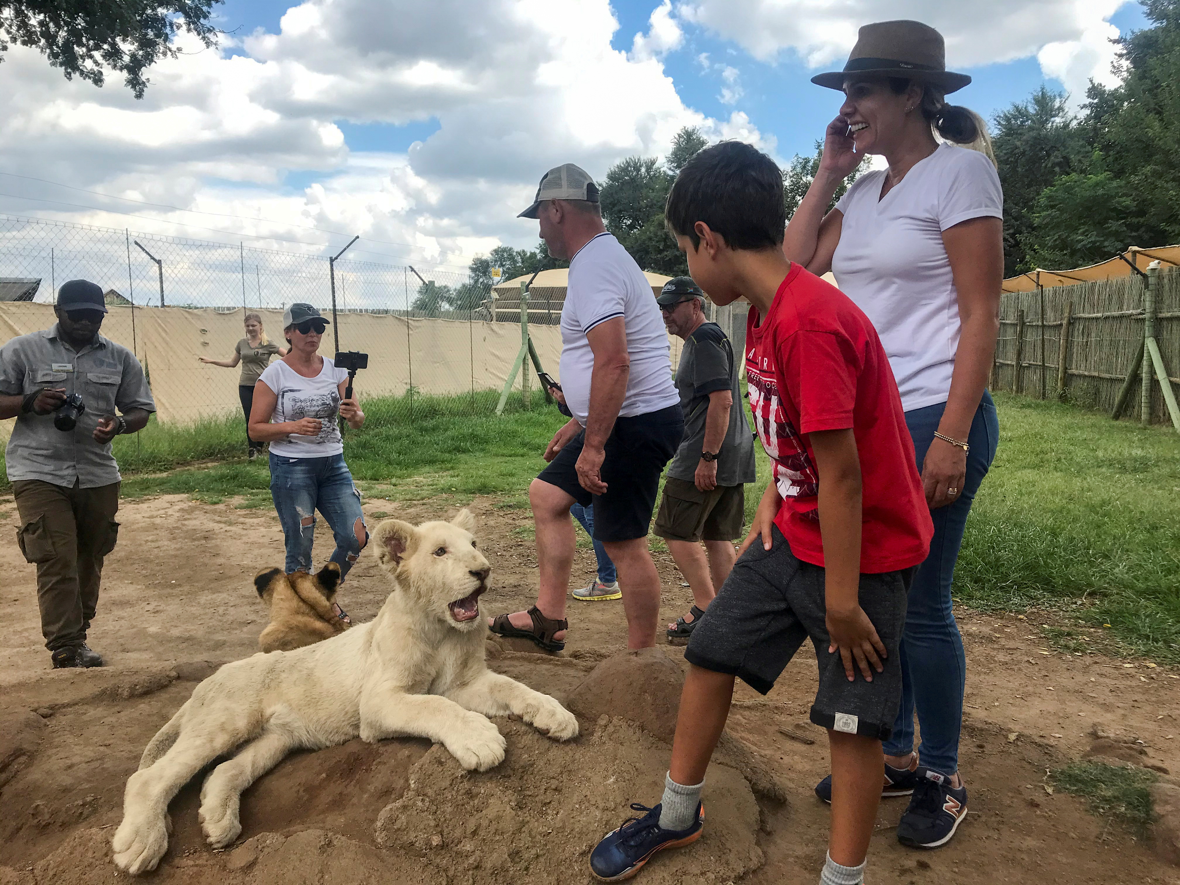 Tourists interact with a lion cub at the Lion and Safari Park near Johannesburg