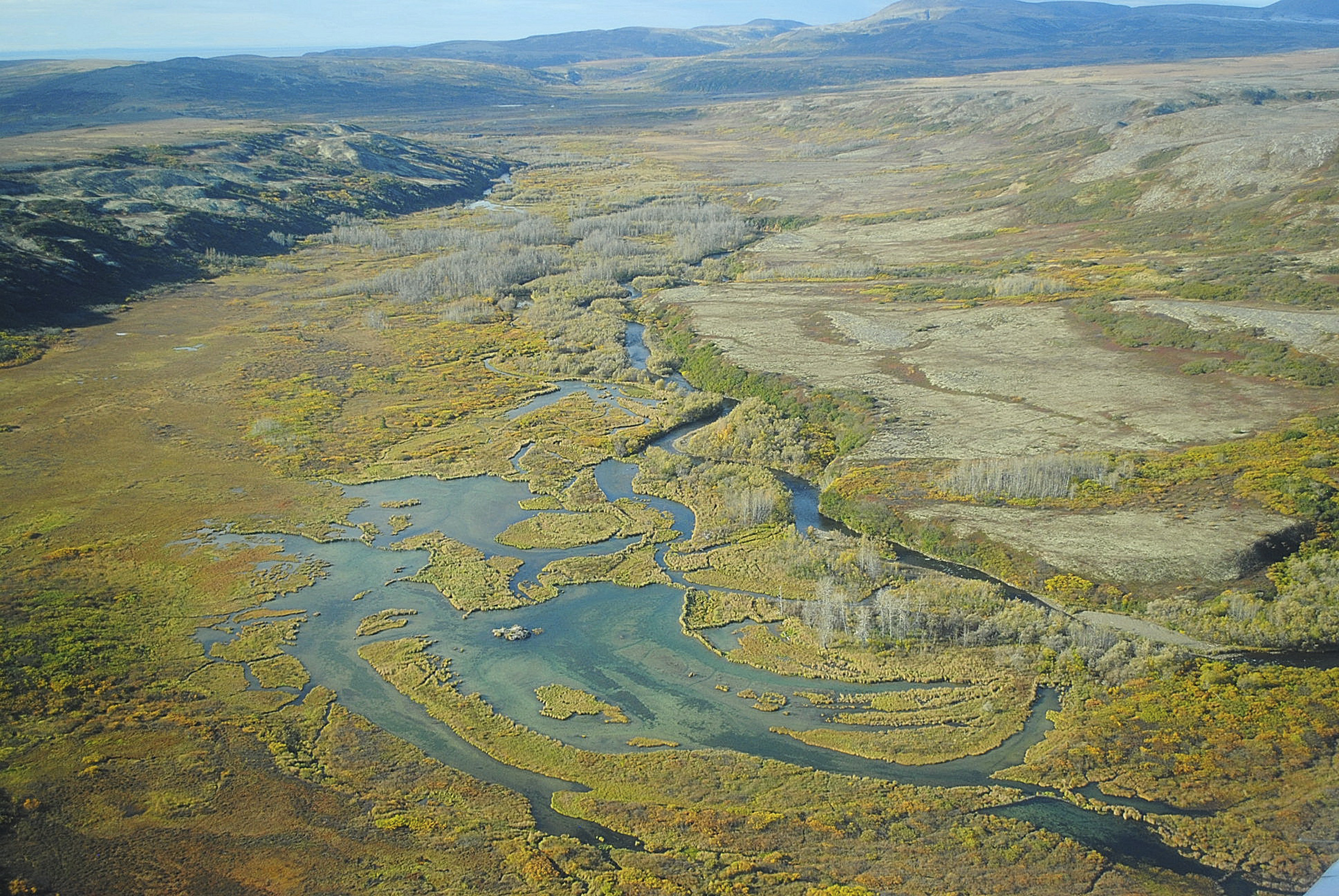 A view of the Upper Tularik Floodplain in the Bristol Bay watershed in Alaska