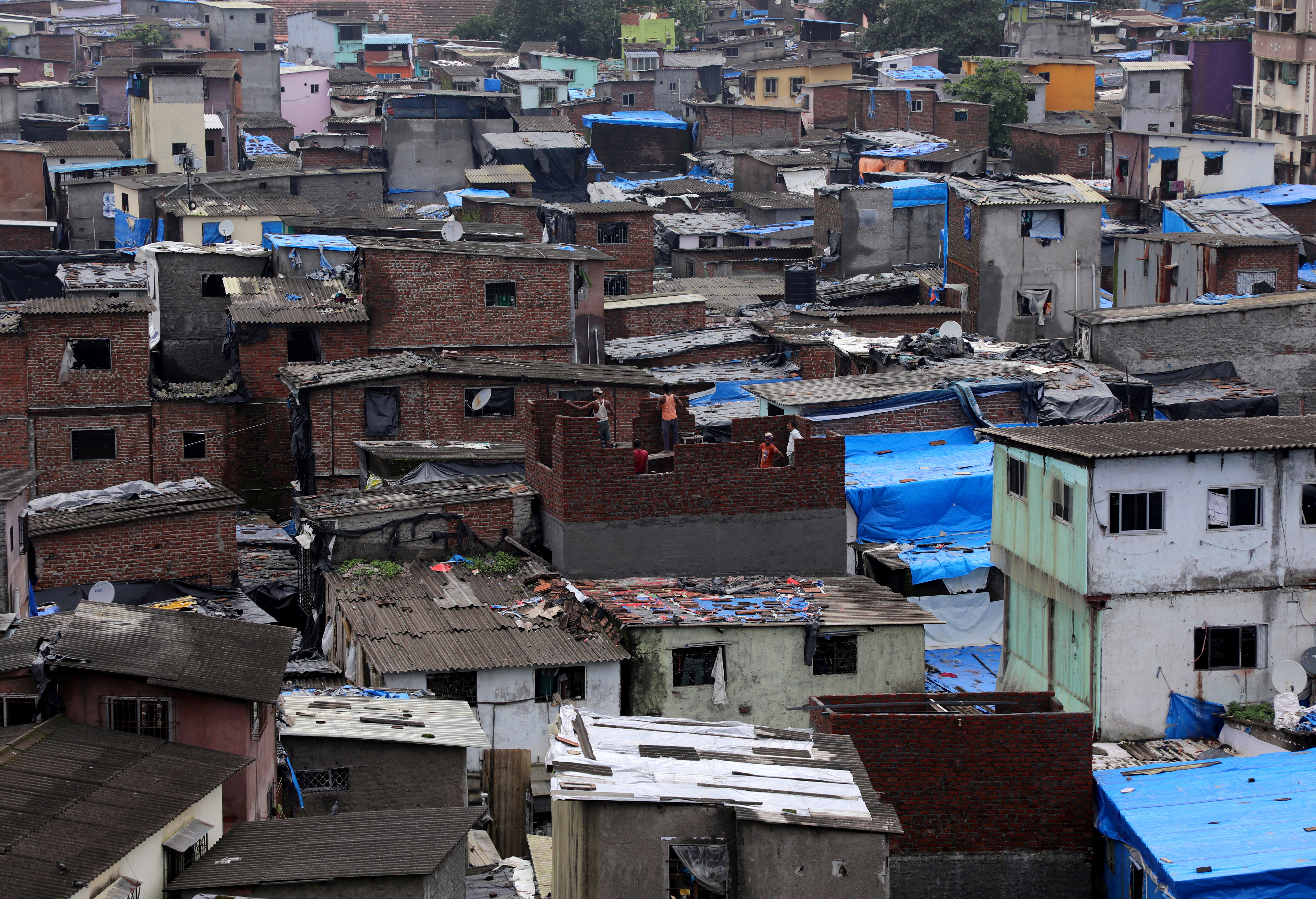 Labourers construct a structure amidst shanties in Dharavi, Mumbai