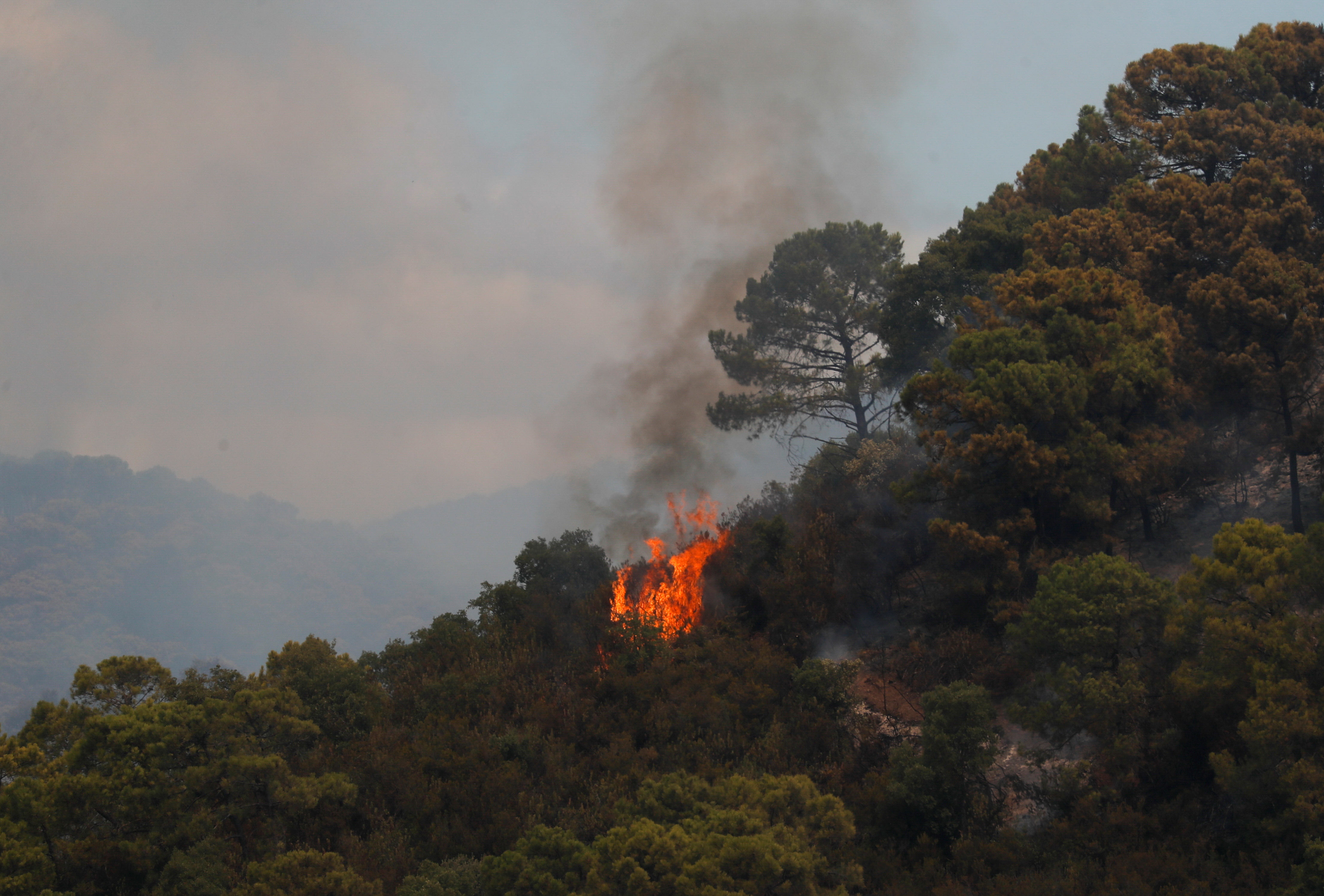 The era of 'mega forest fires' has begun in Spain. Is climate change to  blame?