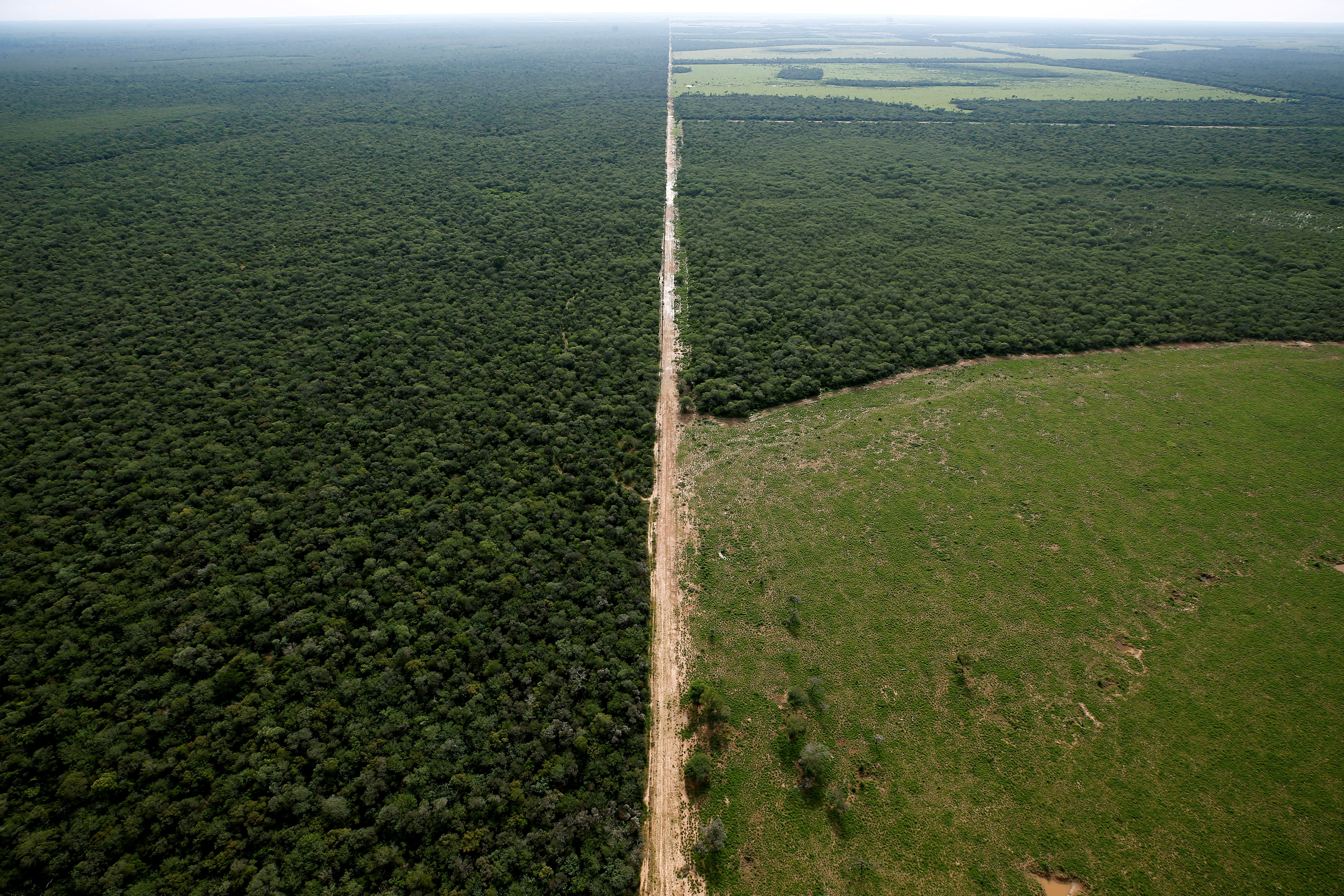 In remote Chaco in South America, deforestation disrupts natural rhythms