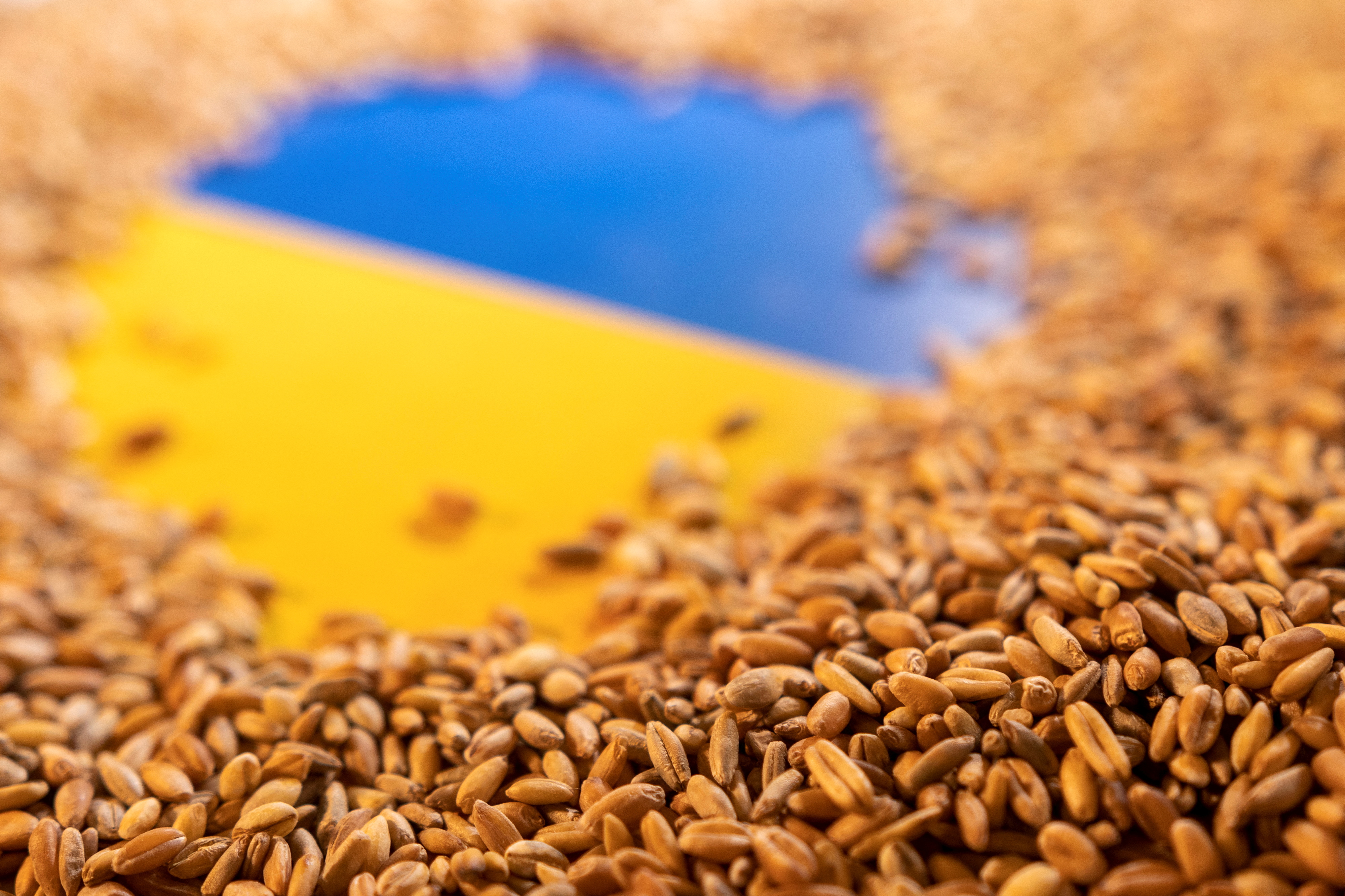 Ukraine Grain Corridor