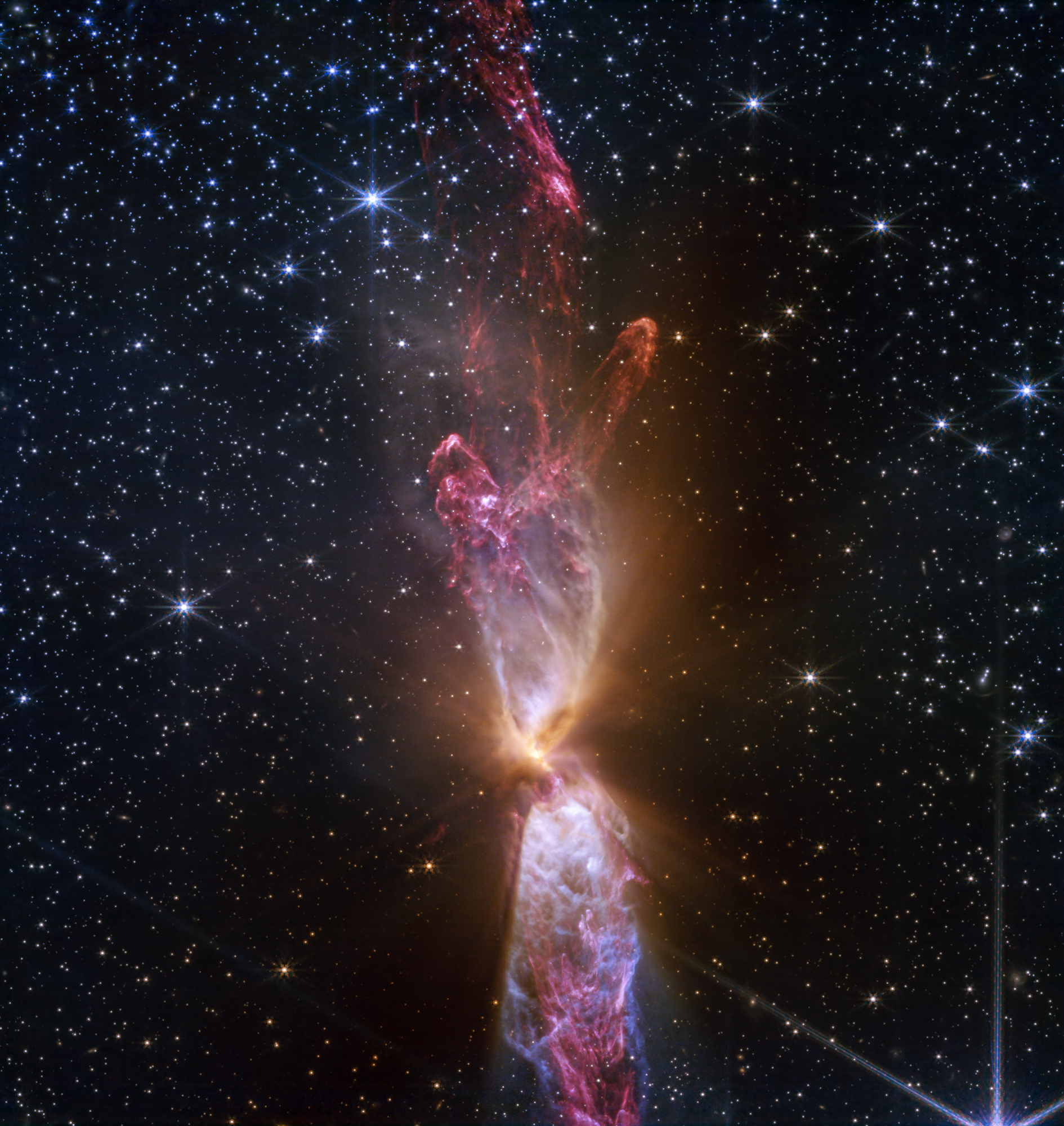 ★世界5枚★ ディズニー ティガー ★ 2025 ソロモン NGC PF 69 NLDWADIMRNHDTFLCXCOXQ3SR6U.jpg