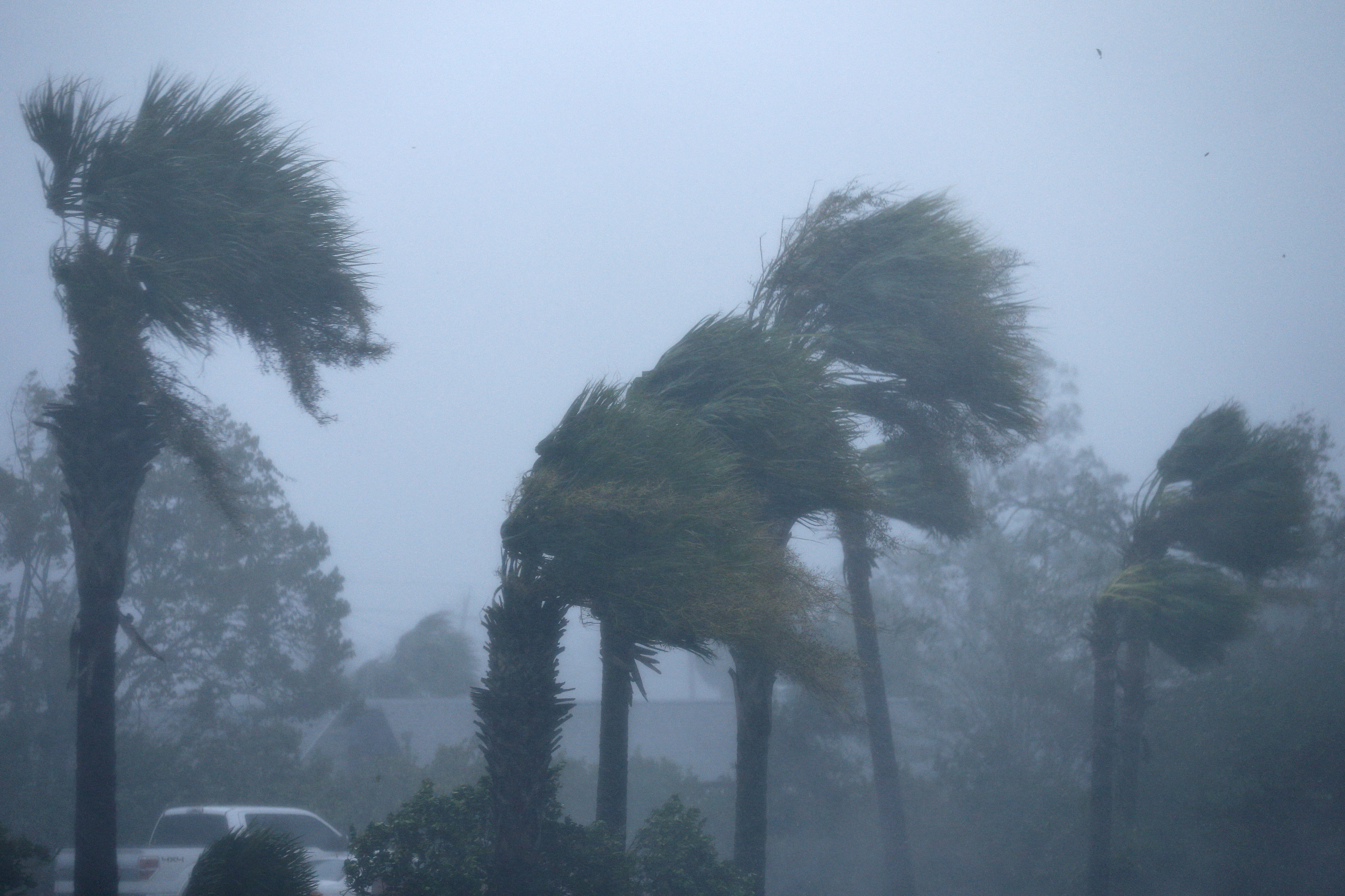 Palm trees are seen during Hurricane Michael in Panama City Beach