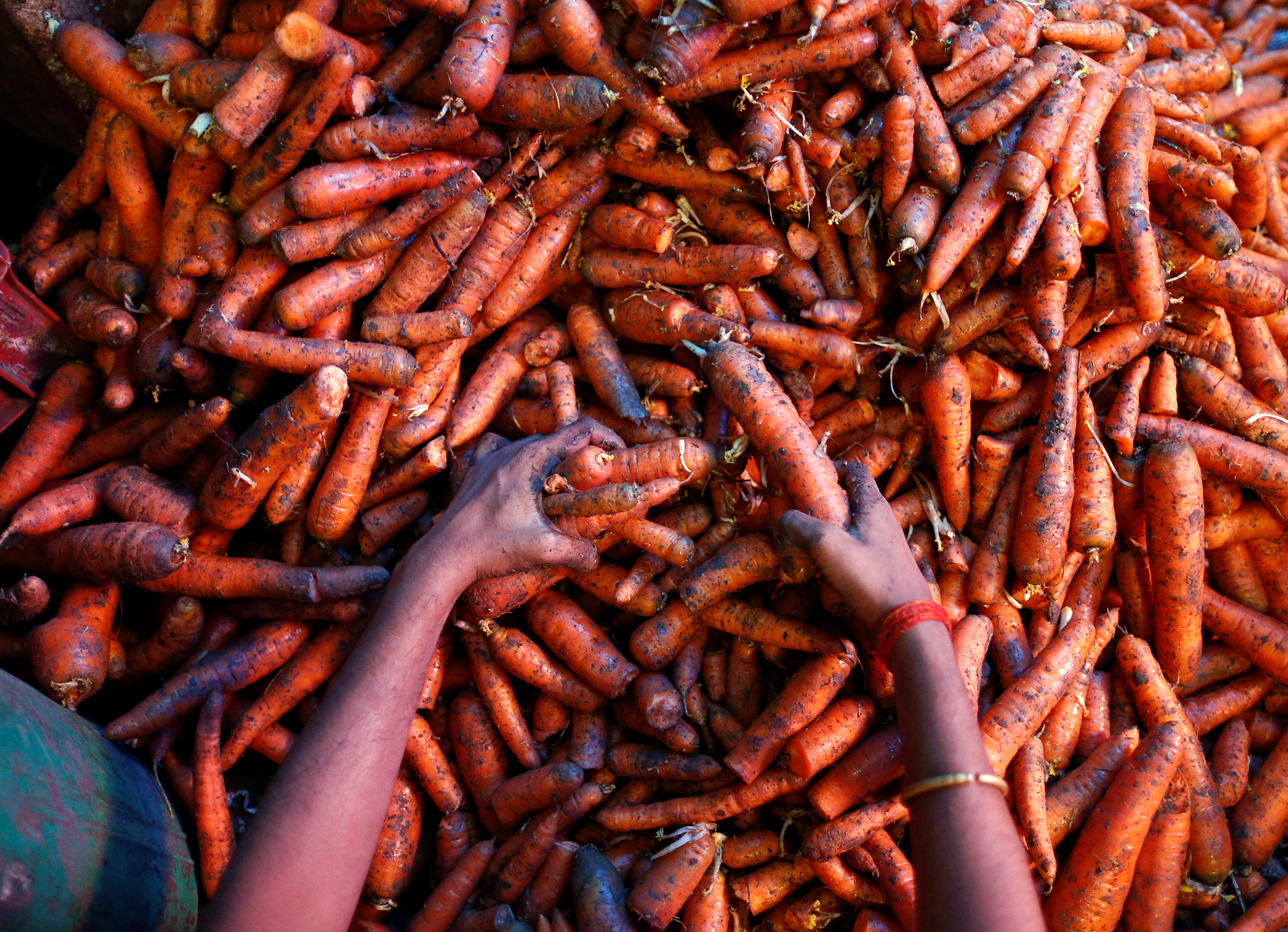 A worker sorts carrots at a wholesale vegetable market in Mumbai
