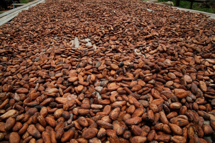 カカオ豆先物が史上最高値更新、供給不足で急騰続く