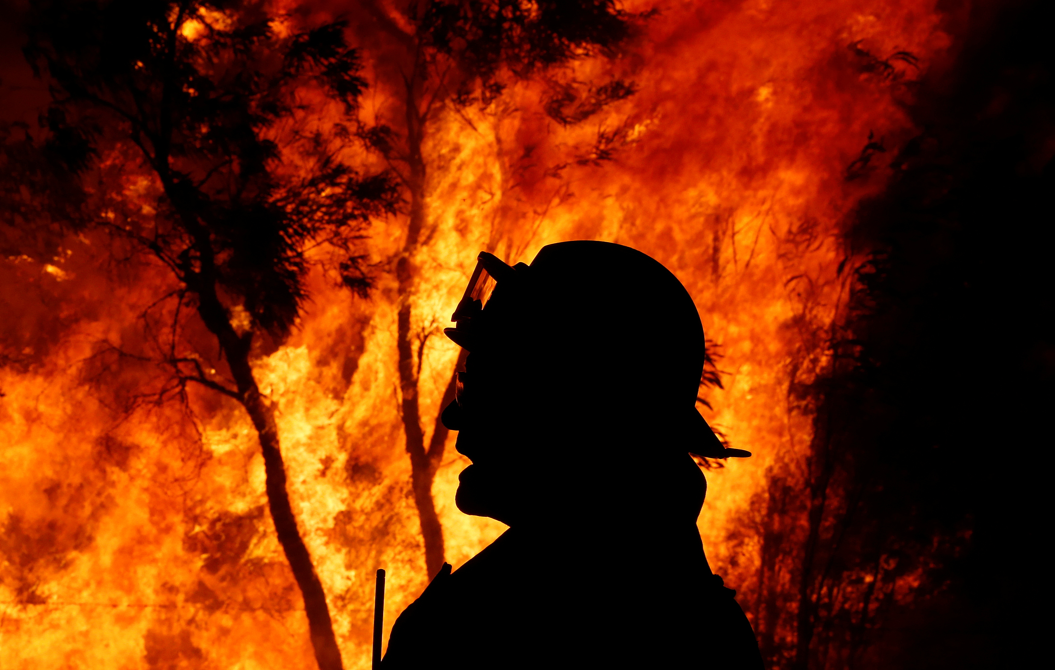 A firefighter gives instructions near a bushfire at the Windsor Downs Nature Reserve, near Sydney