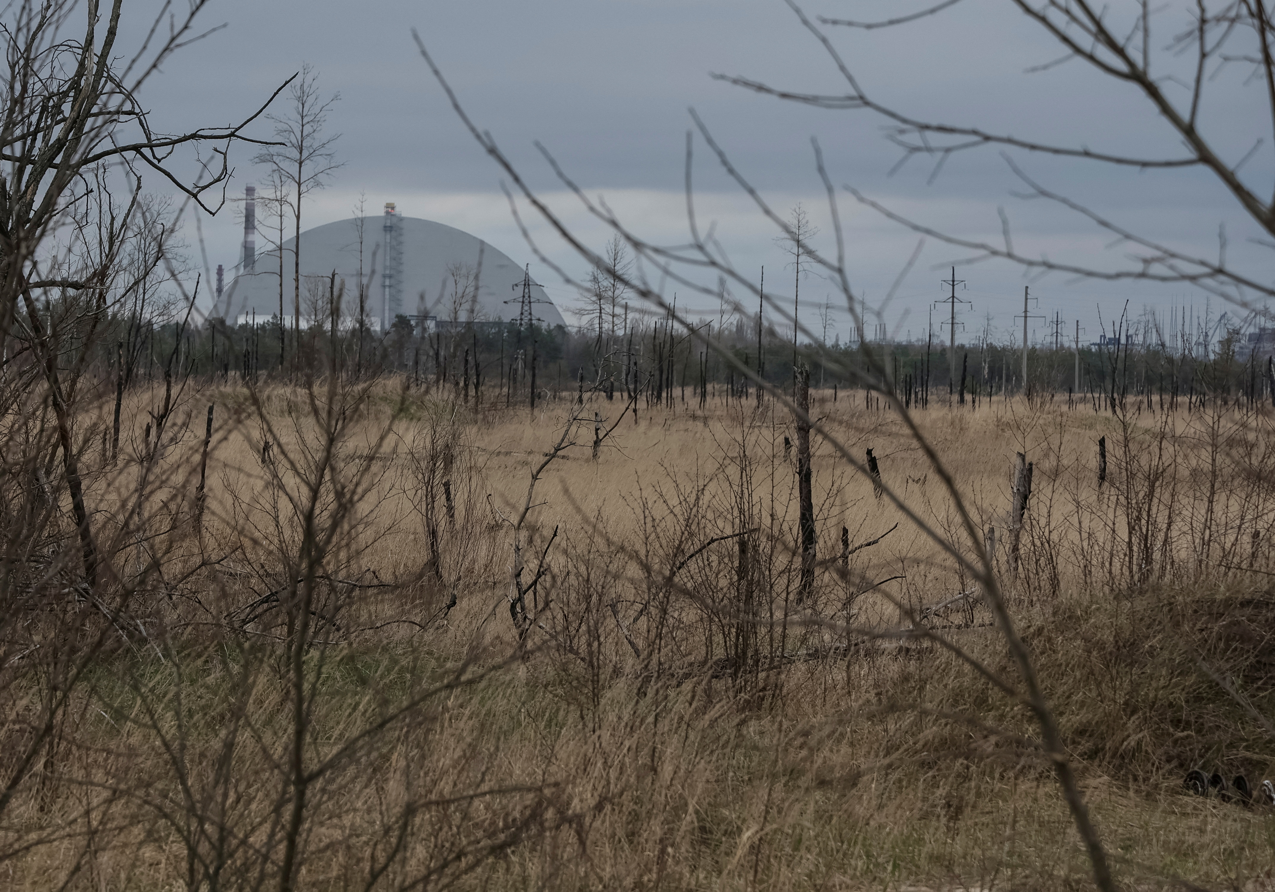 A general view shows an area with high levels of radiation called the Red Forest, and the New Safe Confinement (NSC) structure over the old sarcophagus covering the damaged fourth reactor at the Chornobyl Nuclear Power Plant, in Chornobyl