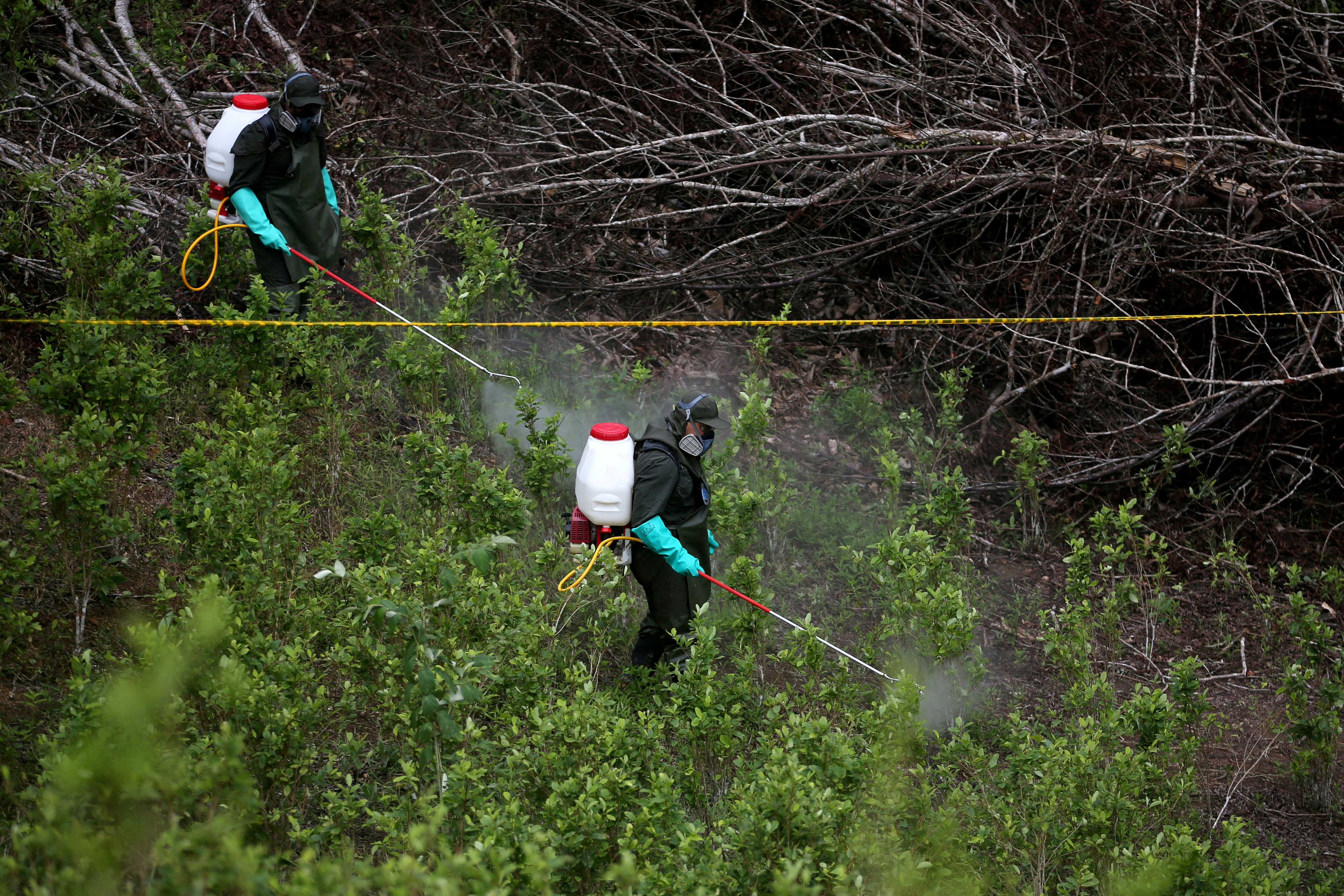 Colombian anti-narcotics police spray herbicide on a coca plantation in Tumaco