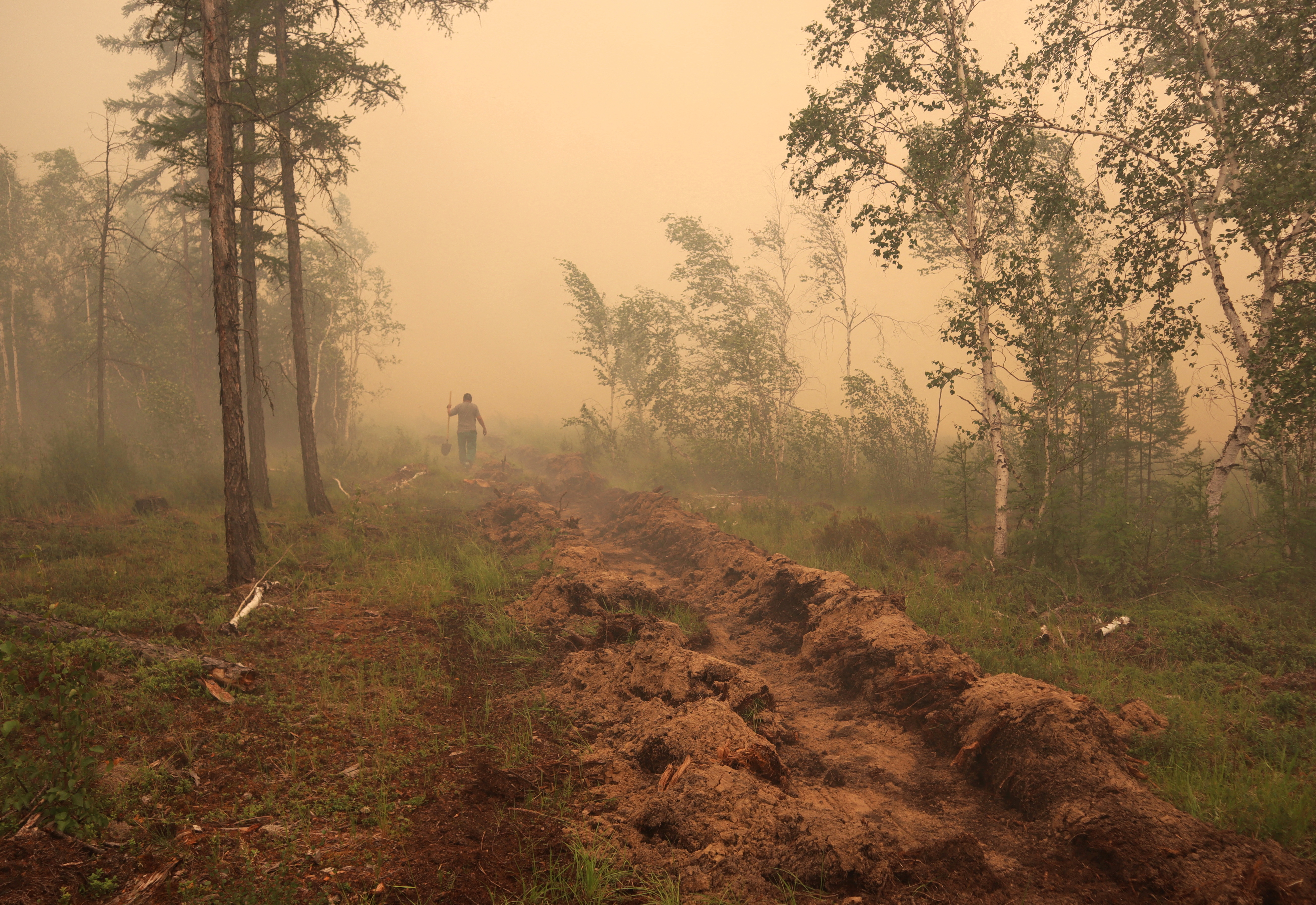 A man digs a control line during the work on extinguishing a forest fire in Yakutia