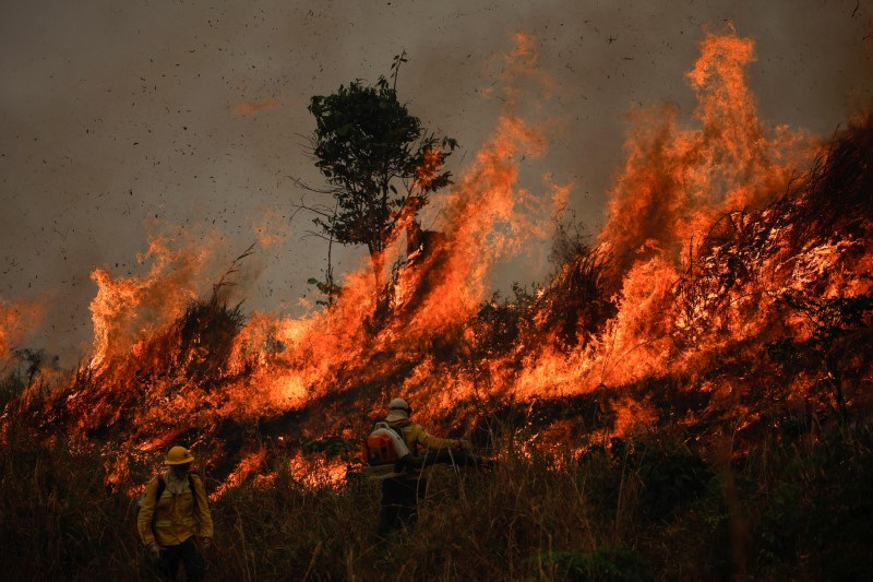 Fire rising in Amazon rainforest in Apui, Amazonas state