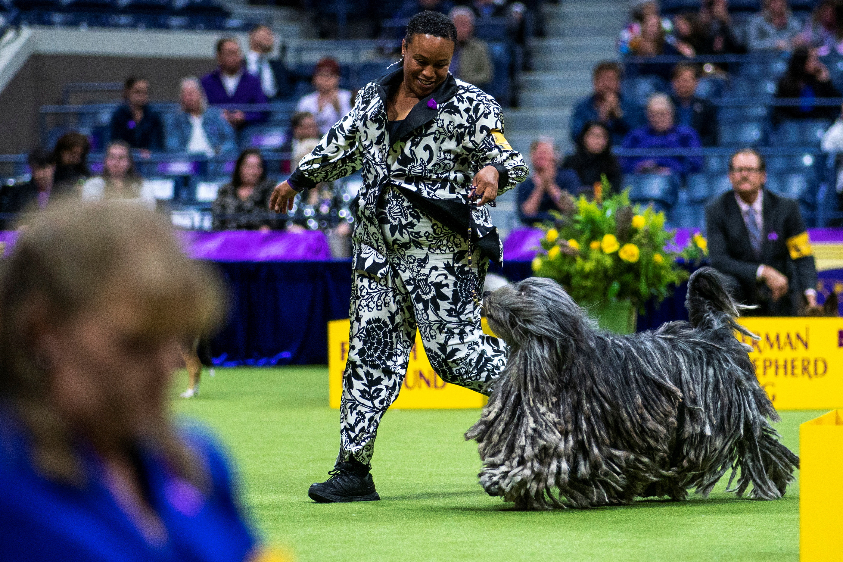 148th Westminster Kennel Club Dog Show in New York