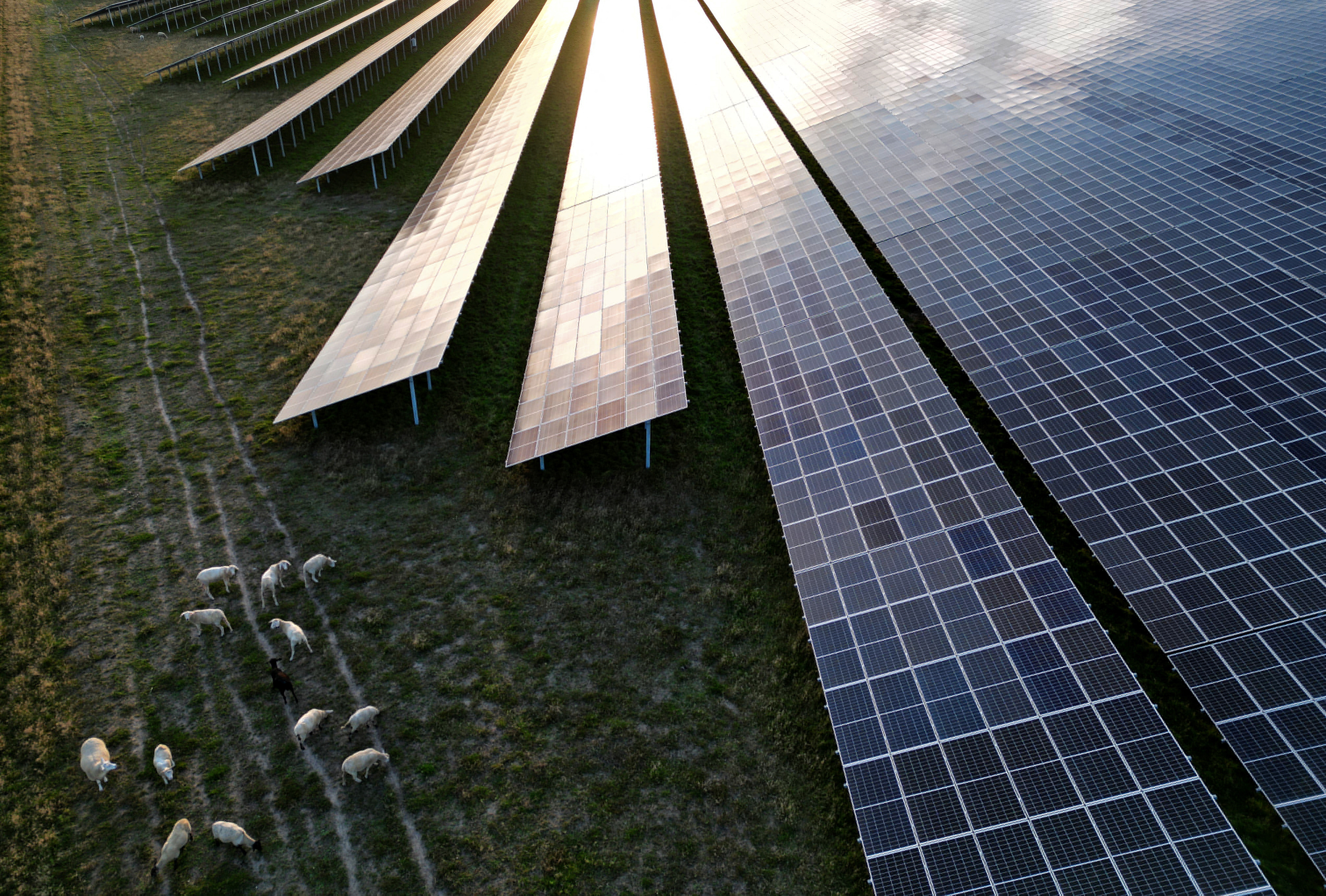 Germany's largest photovoltaic park by EnBW AG