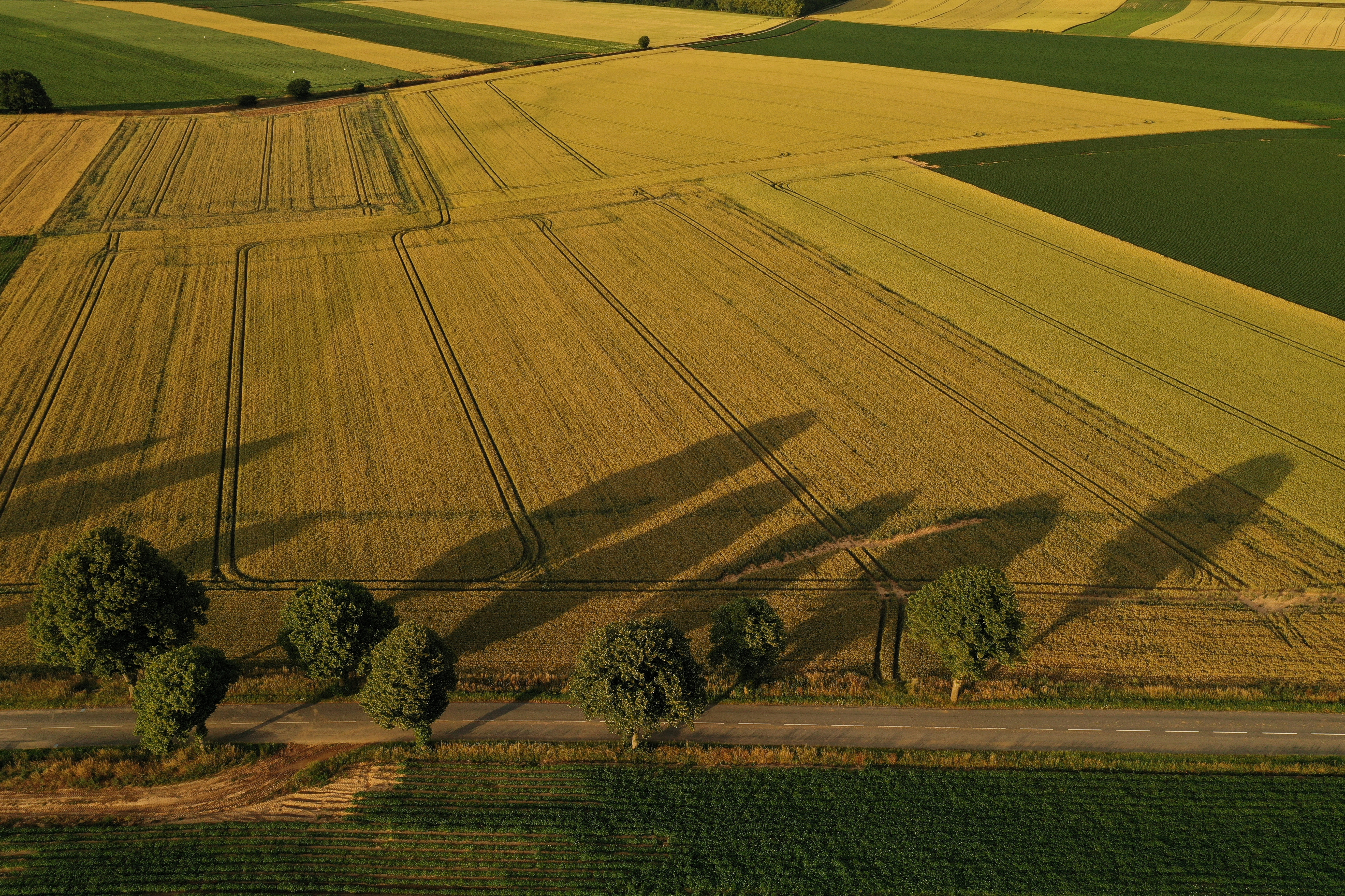 Fields of crops are seen during sunset in a field in Vaulx-Vraucourt