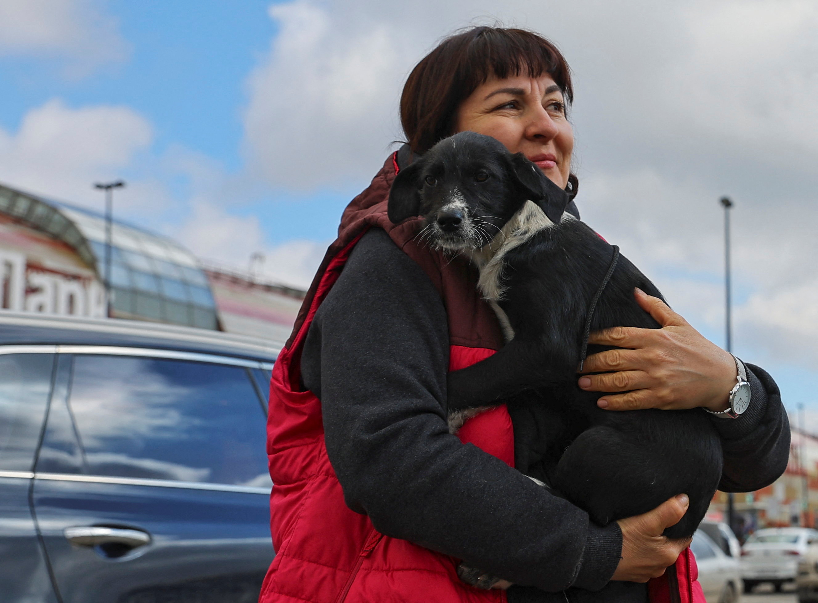 Abandoned in east Ukraine, cats and dogs look for new homes in Russia ...