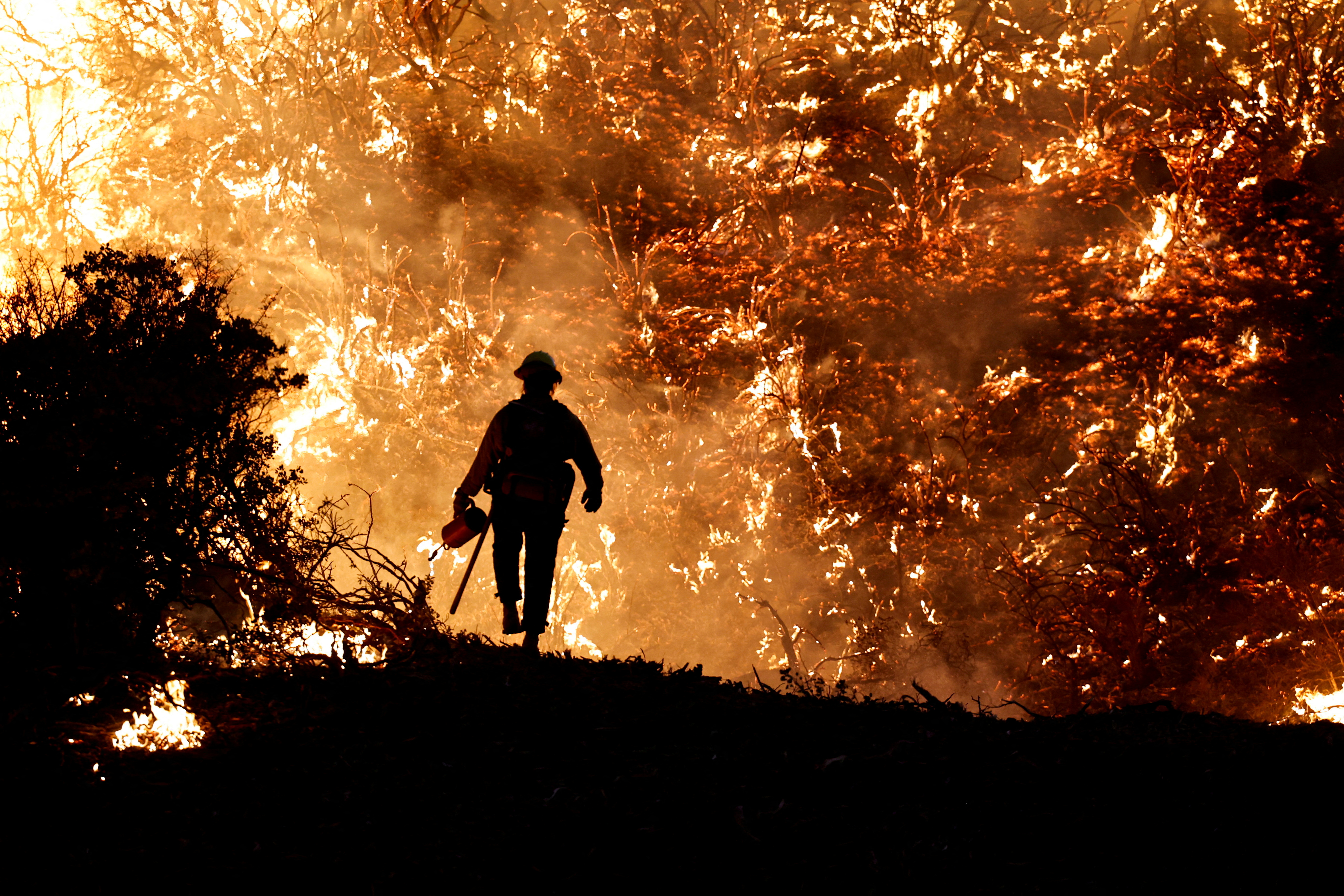 A firefighter works as the Caldor Fire burns in Grizzly Flats