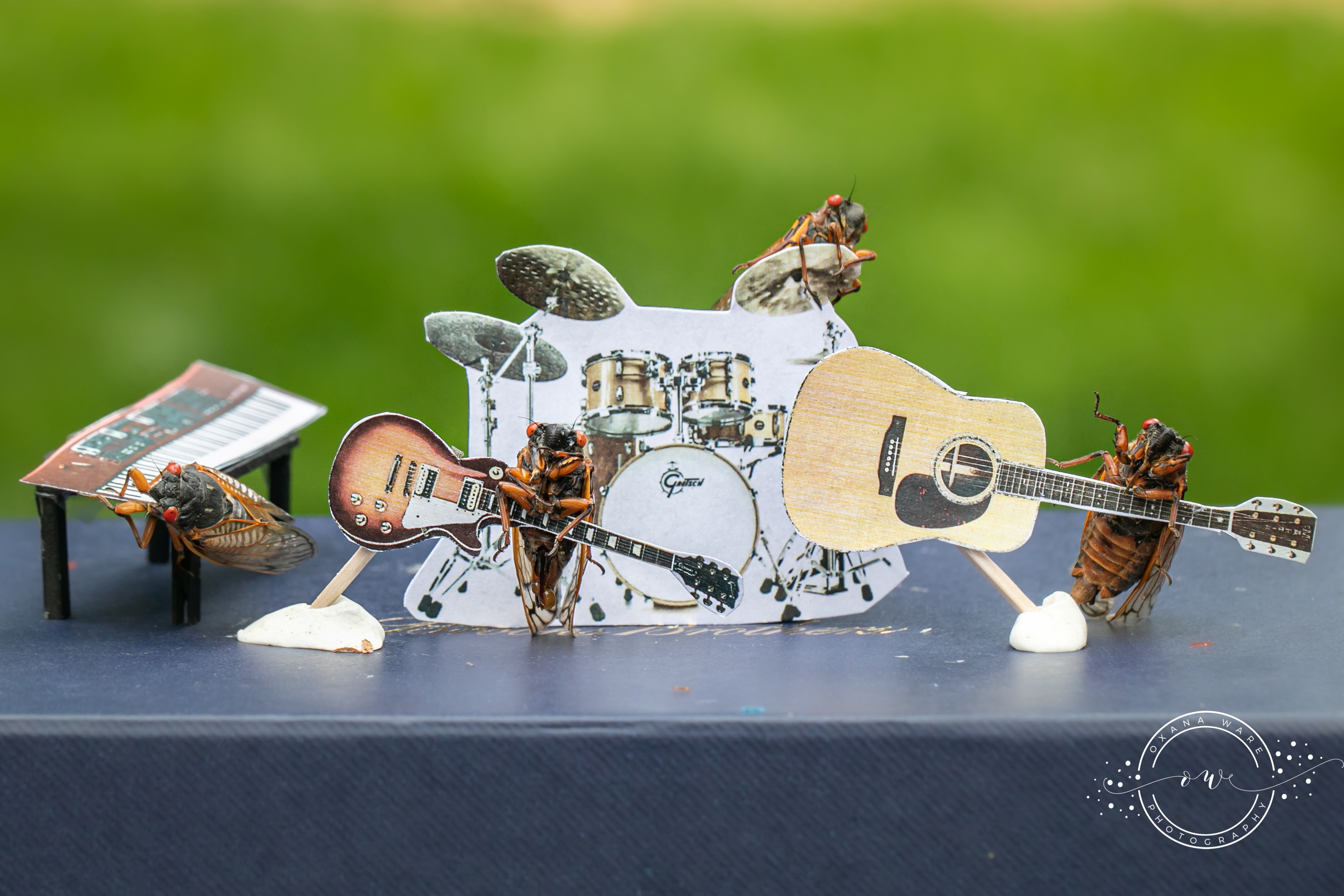 Cicadas make their Olympic debut in miniature art scenes Reuters