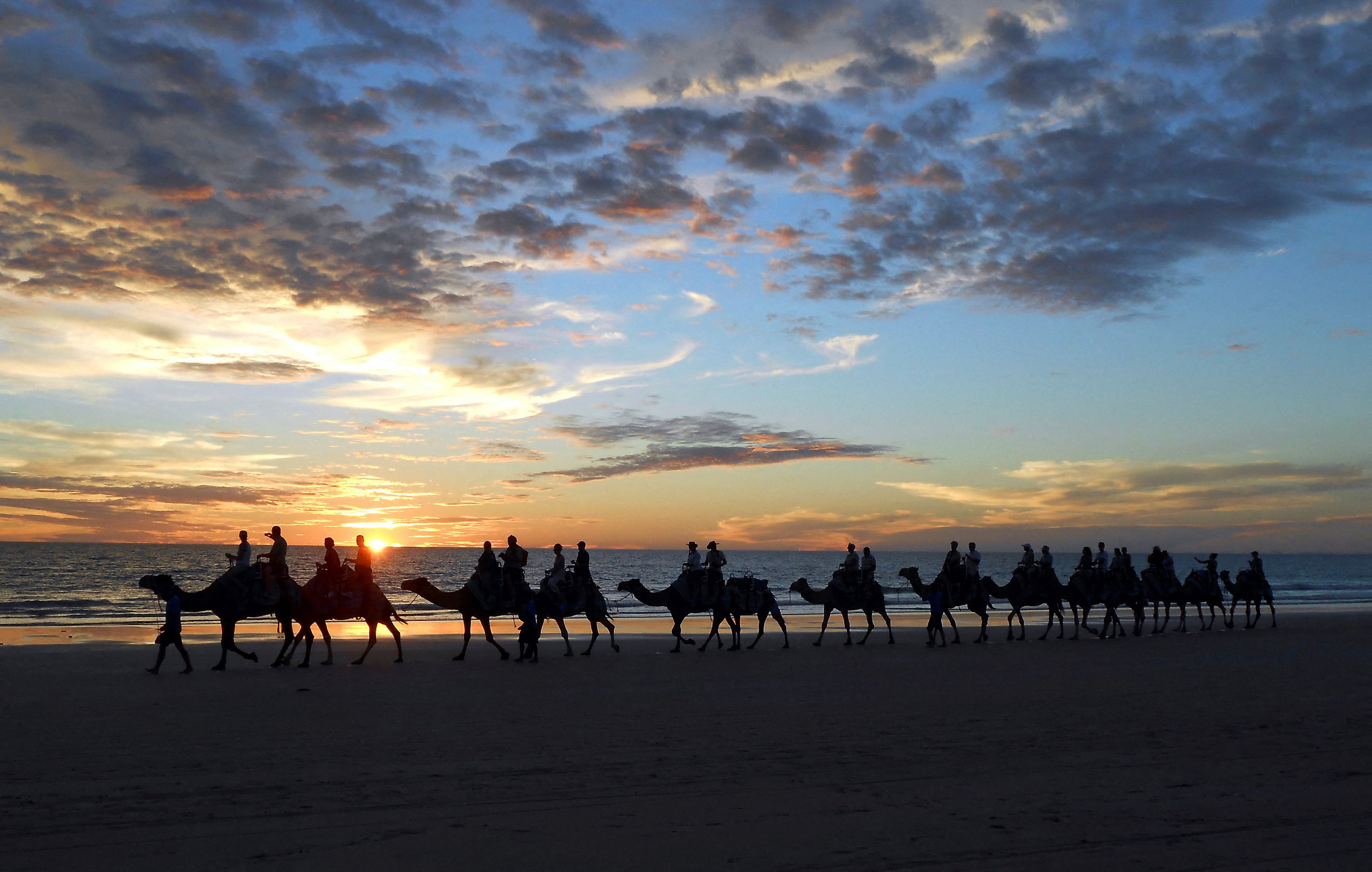 A camel train carries tourists on a sunset safari along Cable Beach located near the northwestern Australian town of Broome May 17, 2013. REUTERS/Julius Hunter