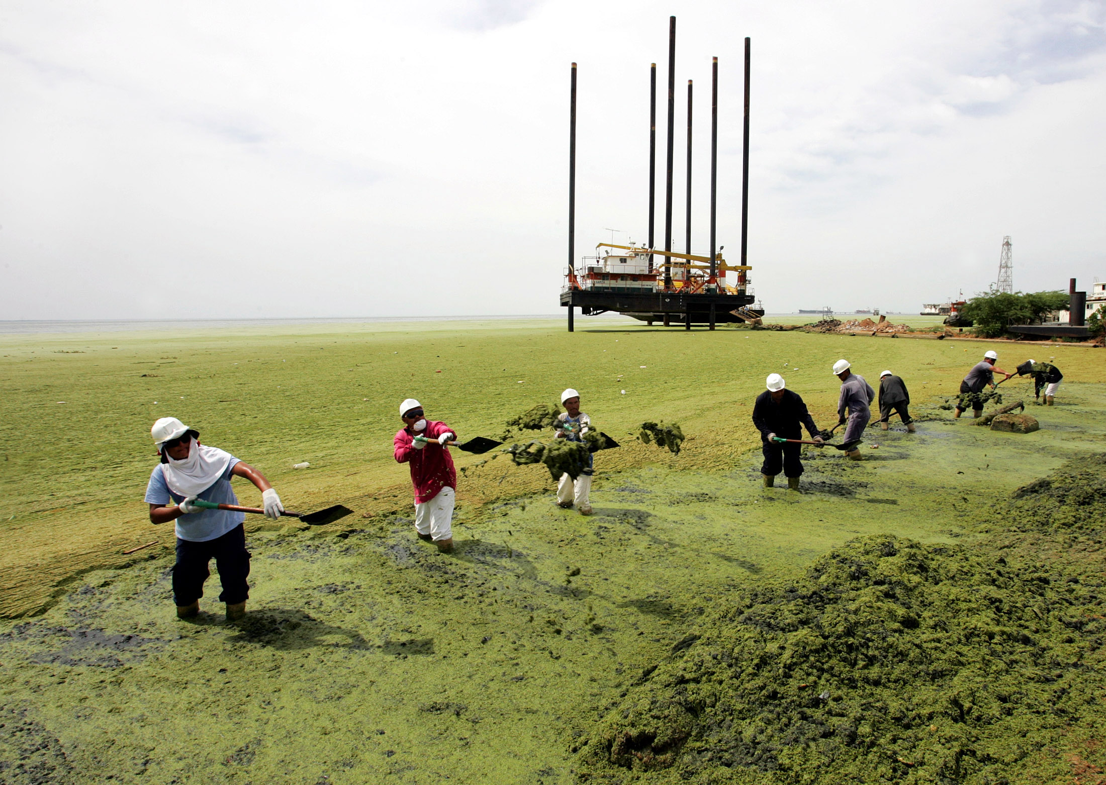 WORKERS CLEAN UP AT THE POLLUTED MARACAIBO LAKE IN VENEZUELA.