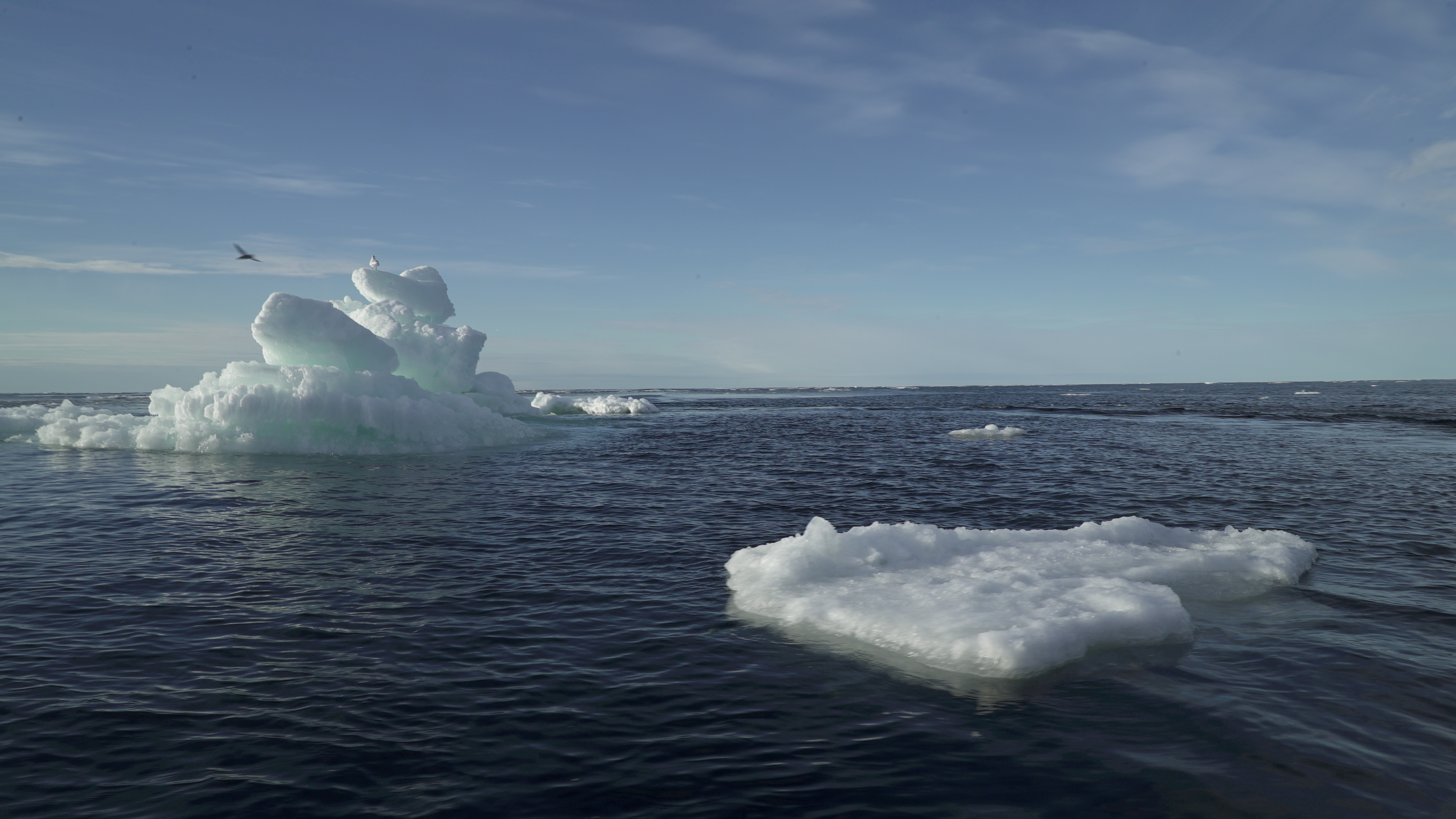Floating ice is seen during the expedition of the The Greenpeace's Arctic Sunrise ship at the Arctic Ocean