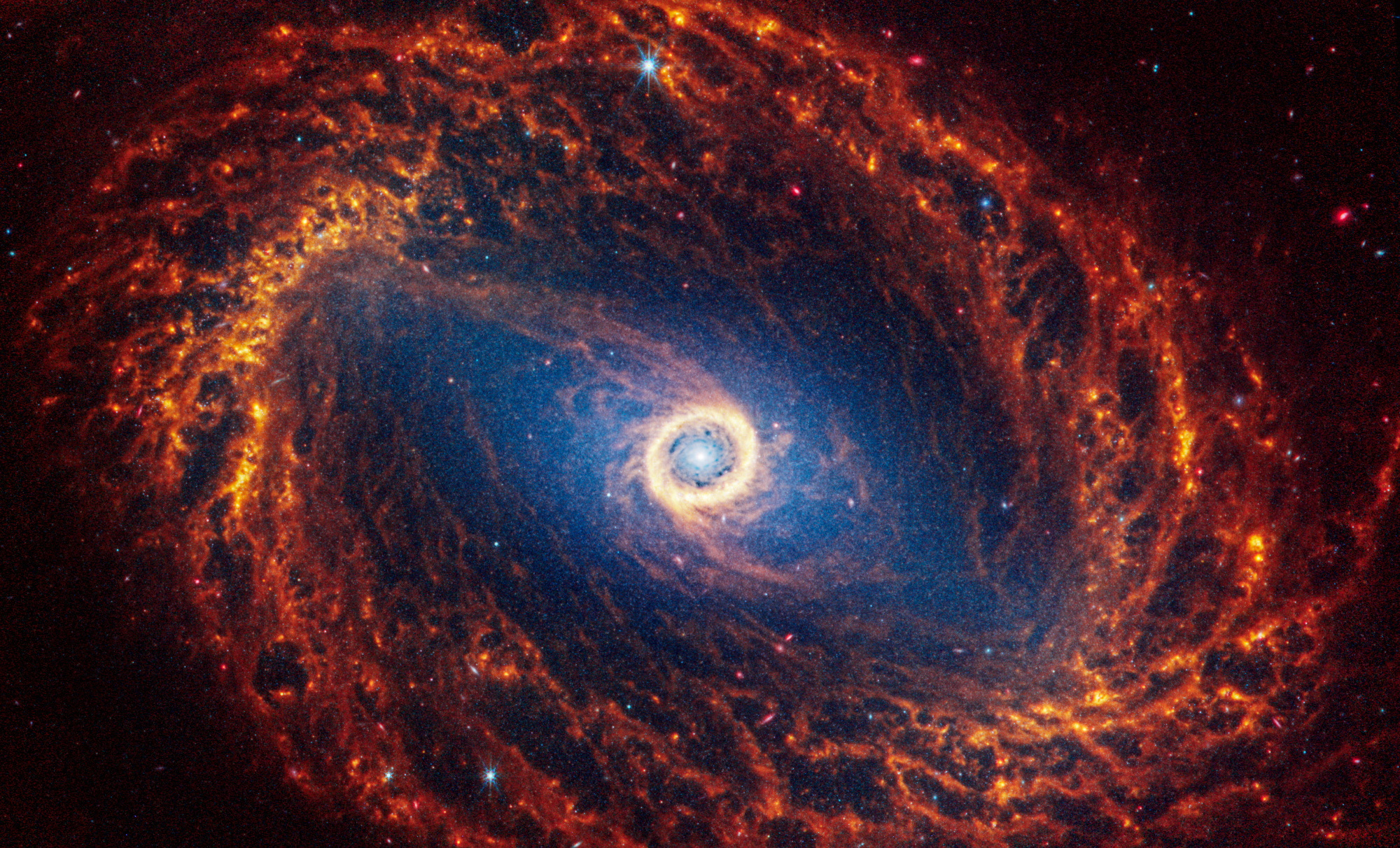 Webb Telescope Captures stunning Images Of 19 Spiral Galaxies Reuters