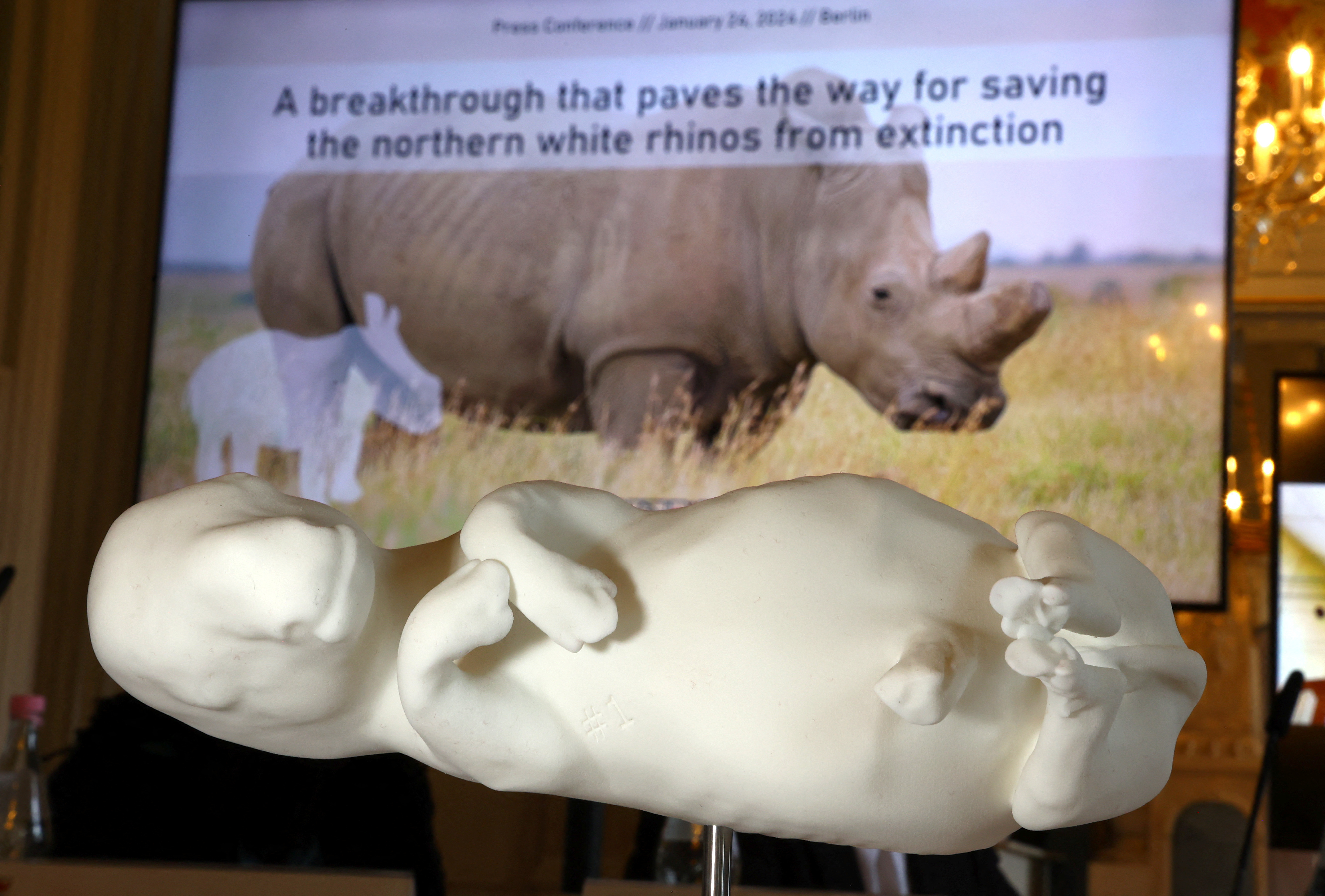 Africa: New Embryos, Surrogate Mothers Added to Northern White