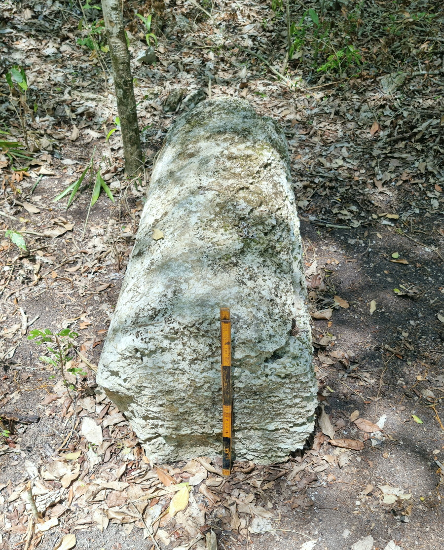 Ancient Maya City Discovered In Mexican Jungle | Reuters