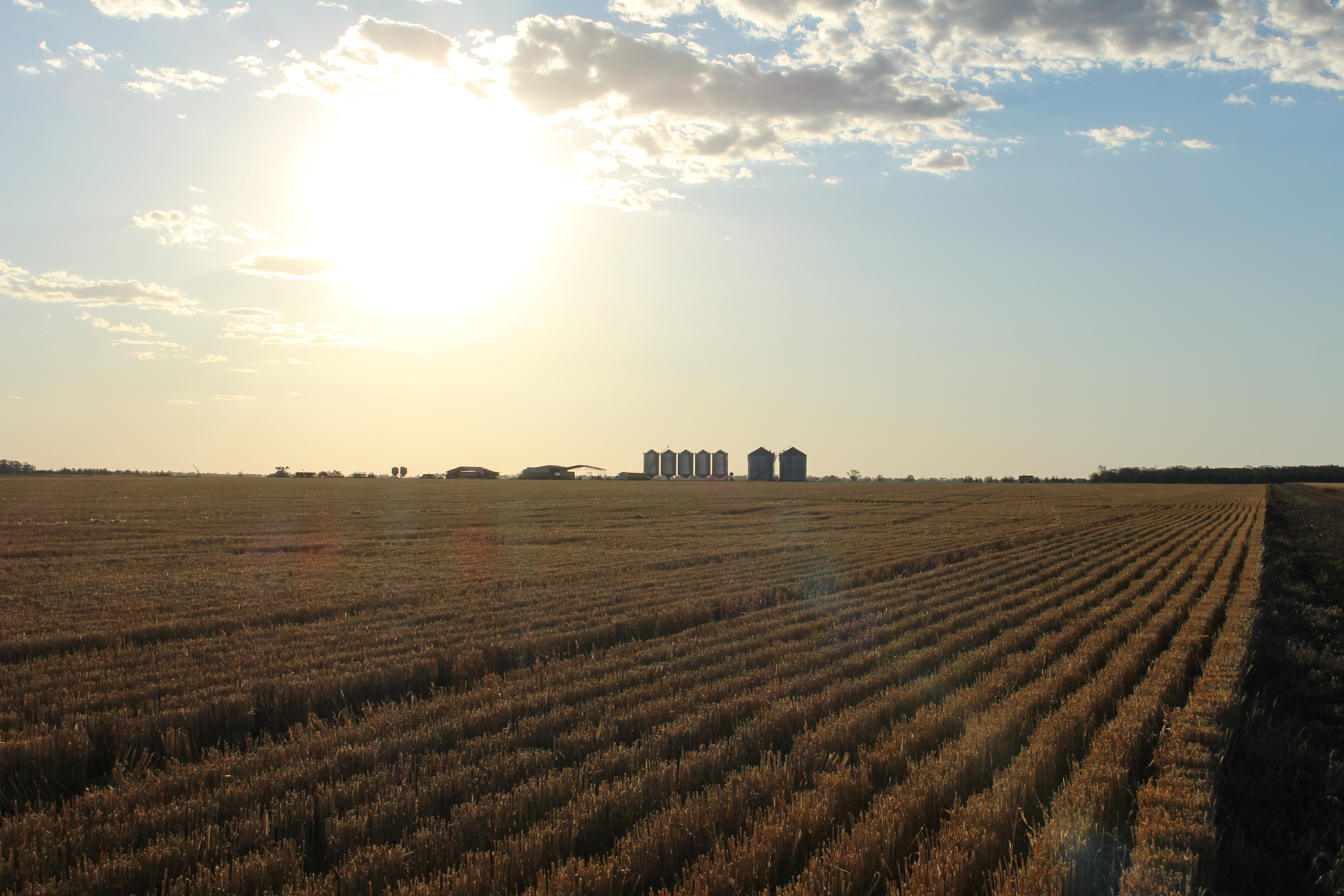 Grain silos are seen on the horizon near Moree
