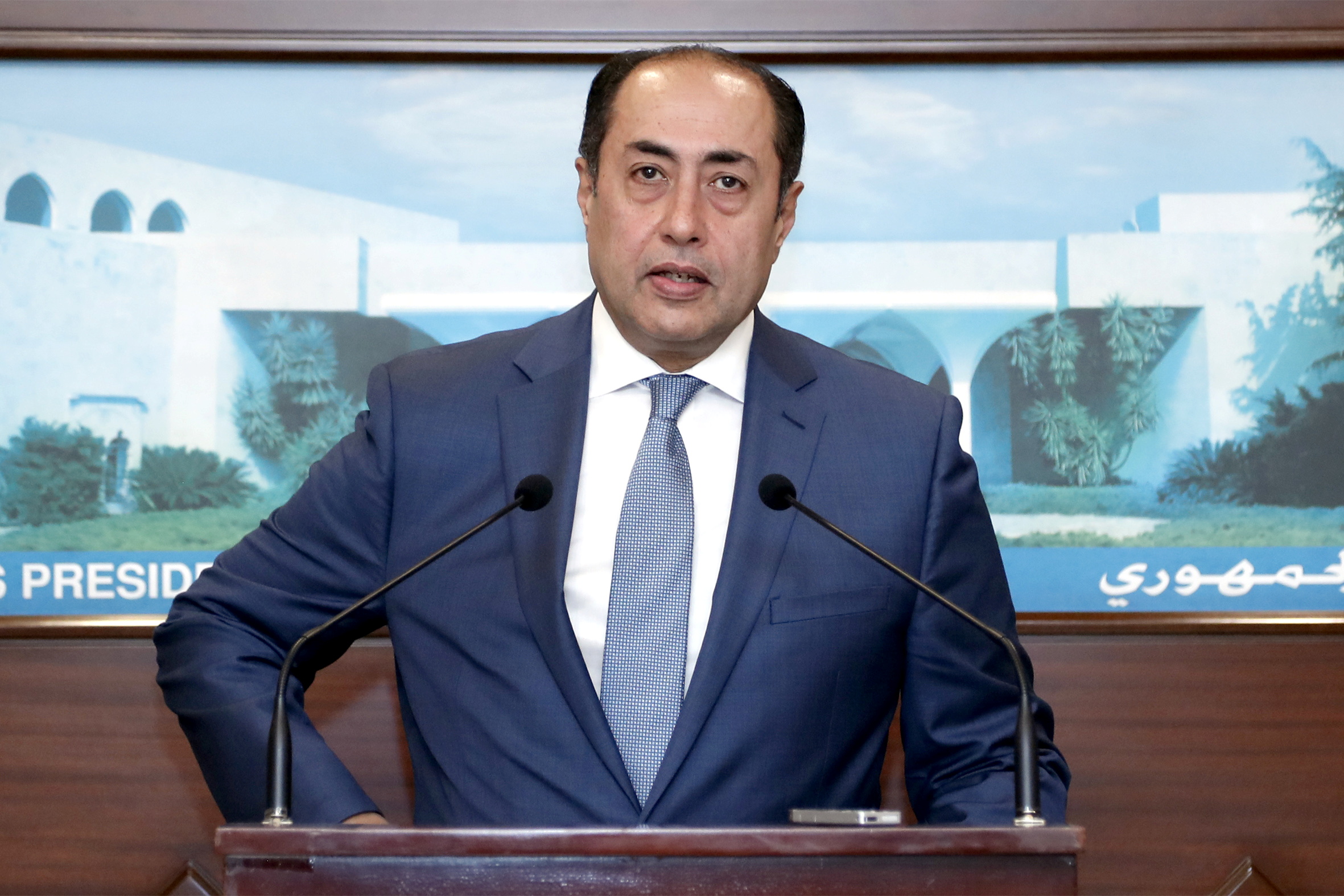 Assistant Secretary General of the Arab League Hossam Zaki speaks at the presidential palace in Baabda