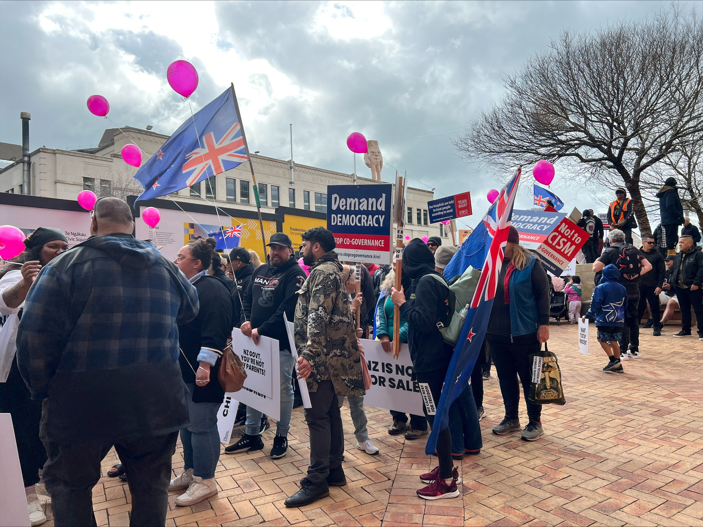 Anti co-governance protesters march on New Zealand's parliament in Wellington