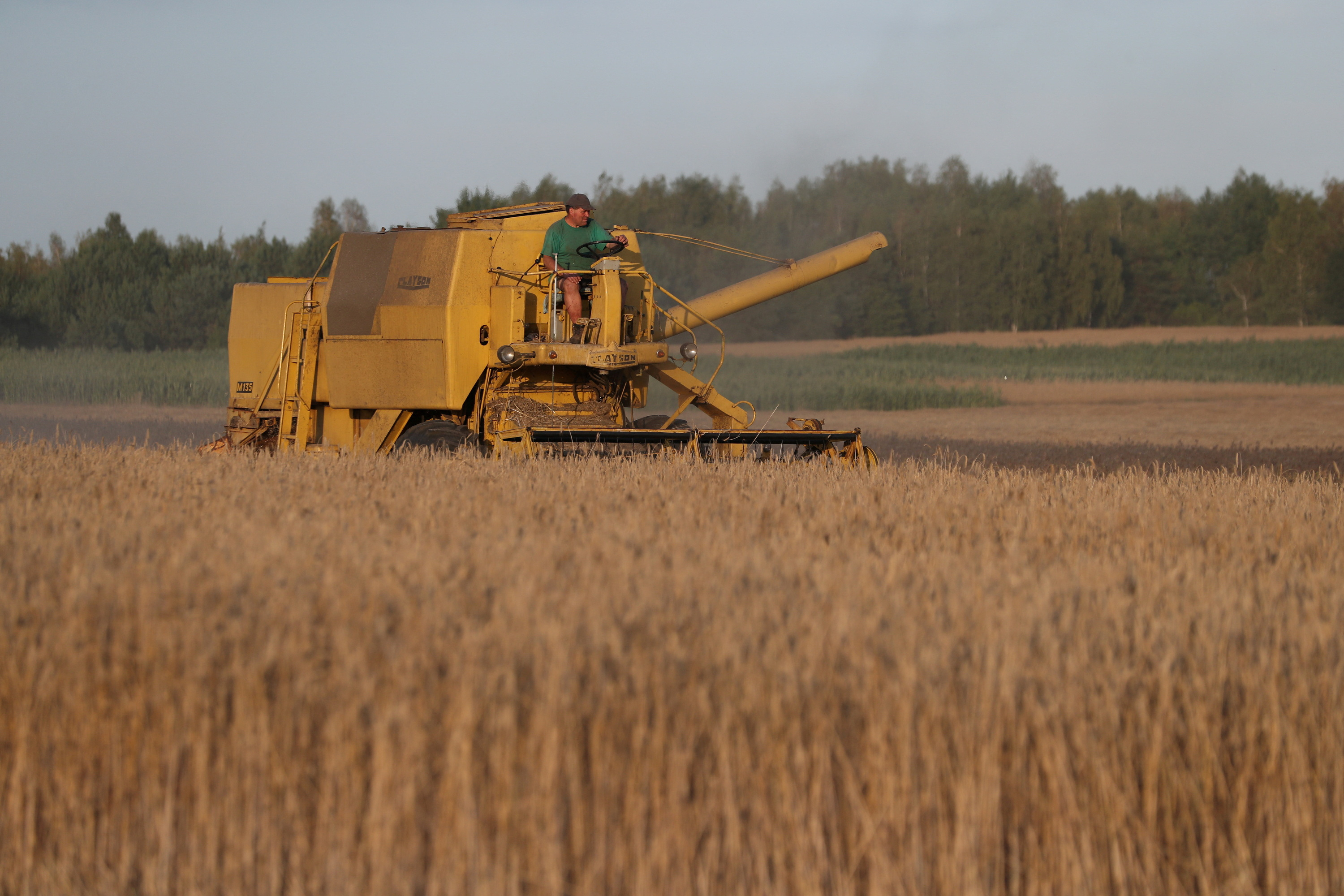 A combine harvester reaps grain at a field near Popowo Koscielne