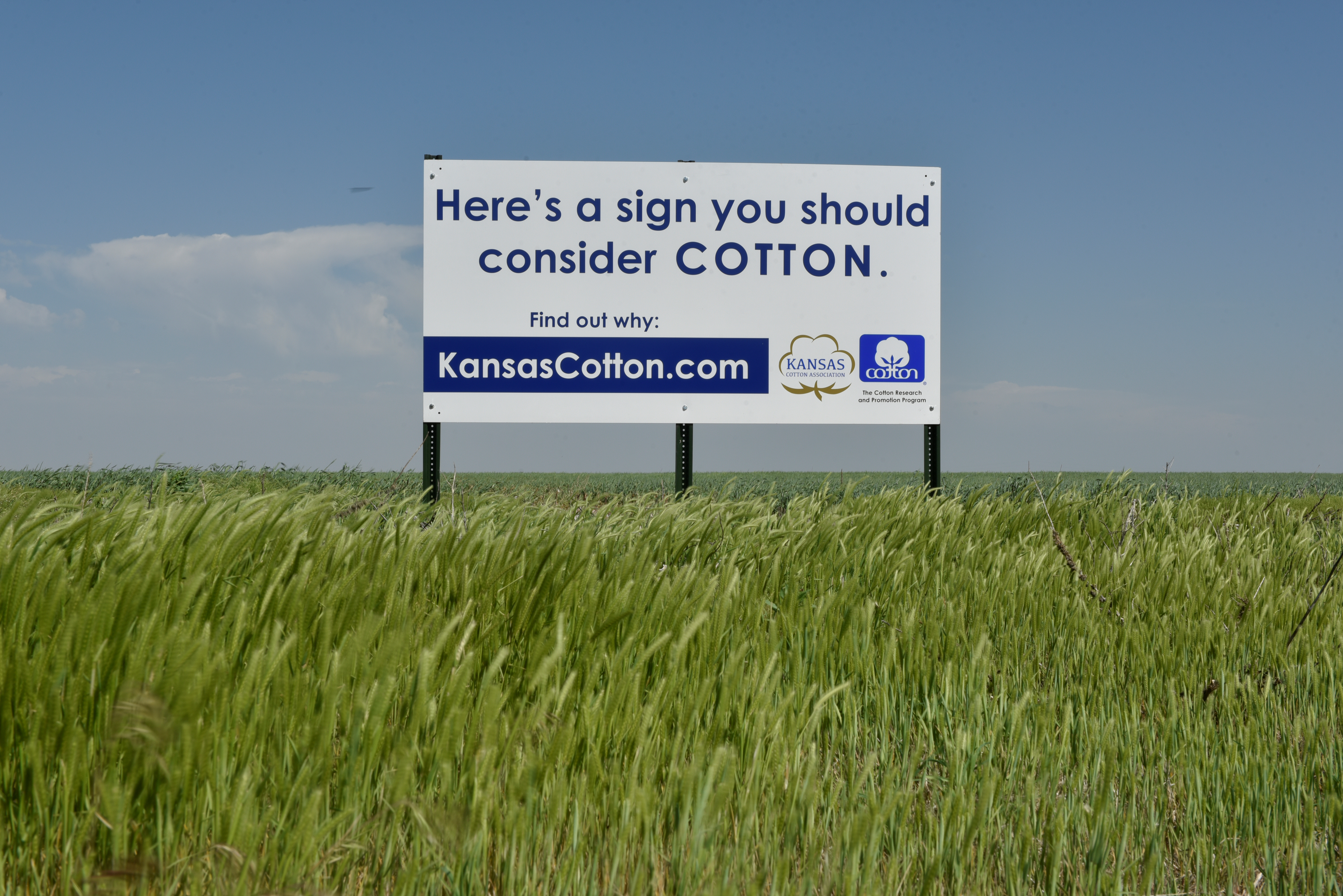 A sign encouraging farmers to plant cotton is seen near Wakita, Oklahoma
