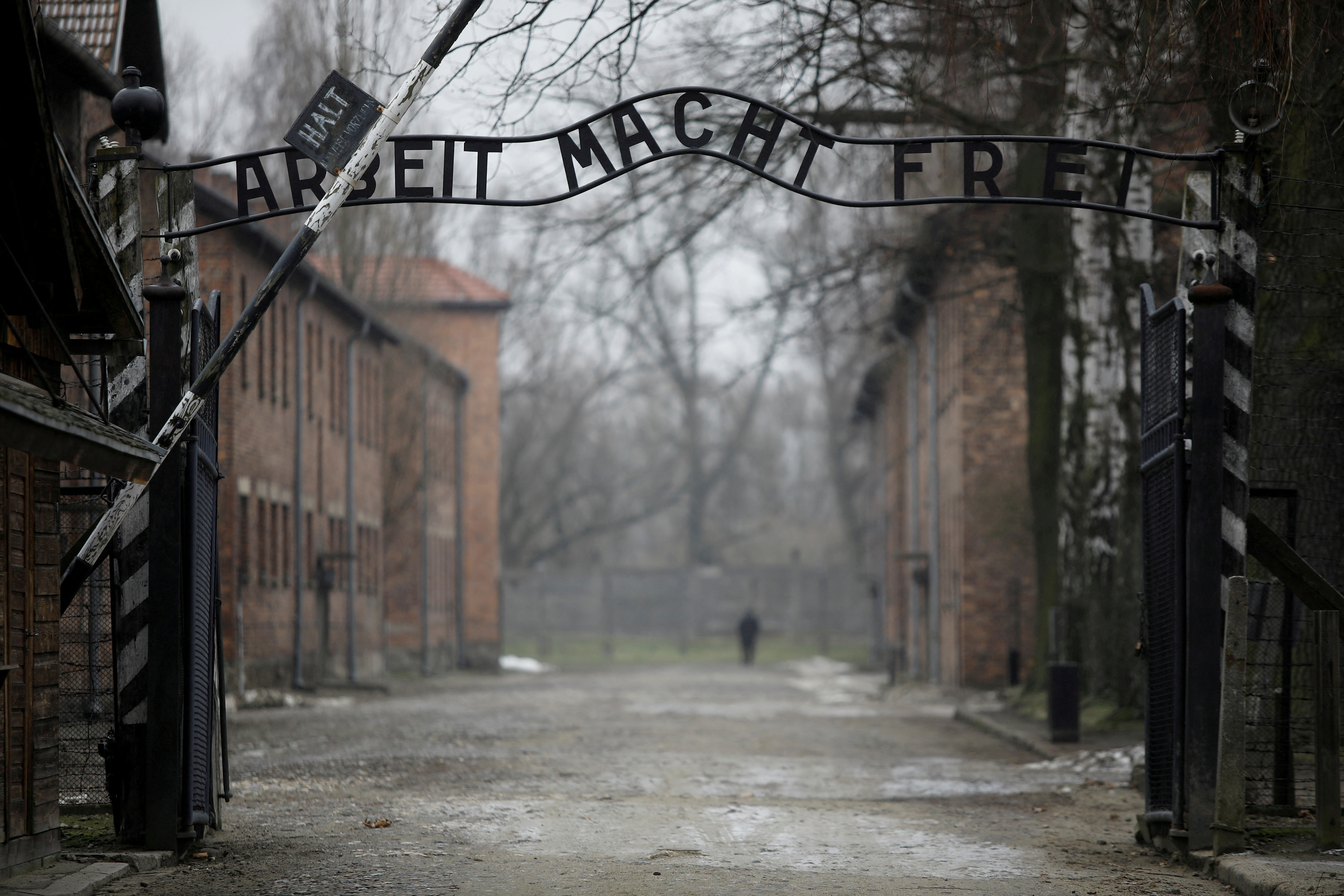 76th Auschwitz liberation commemoration held virtually amidst COVID pandemic
