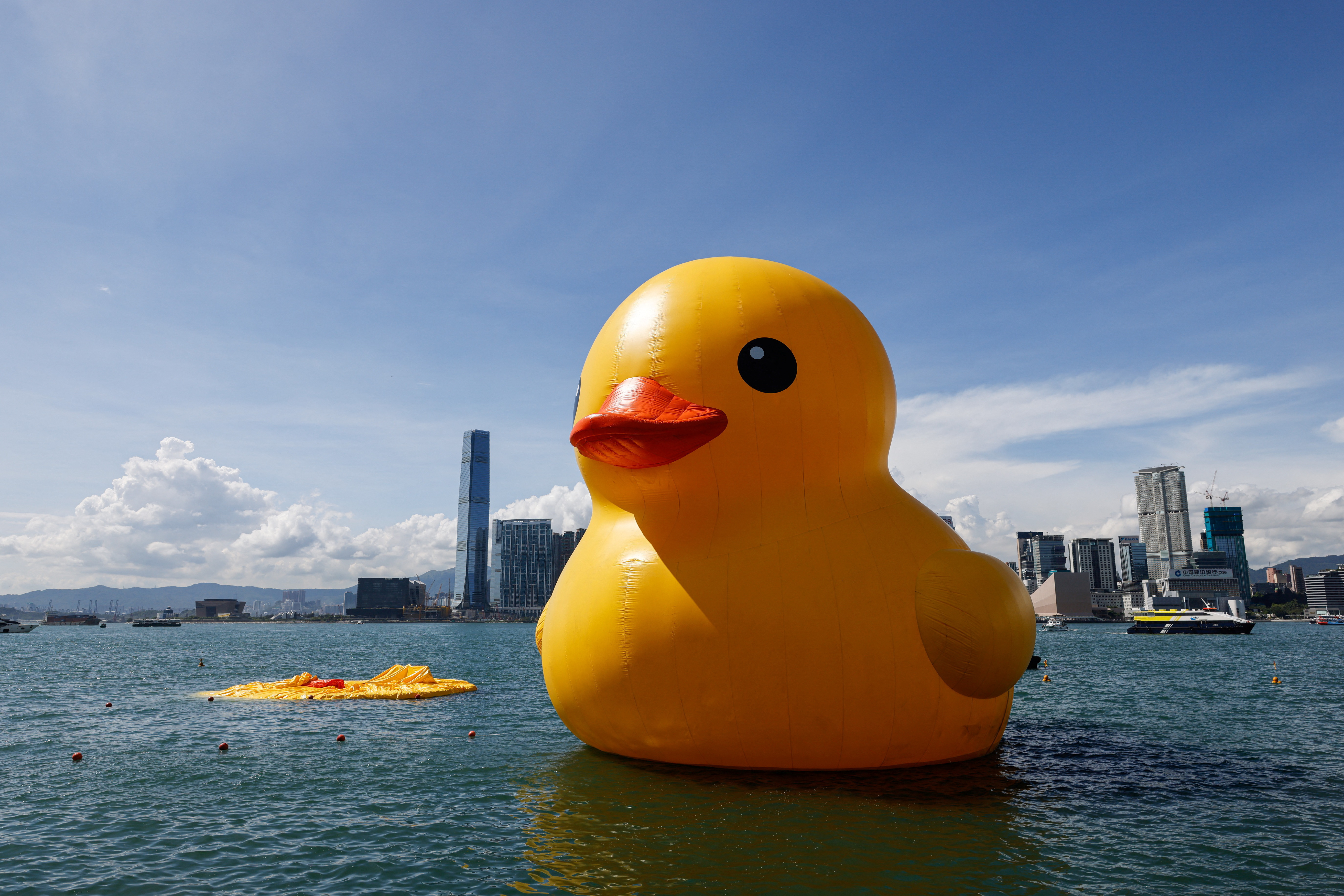 One of the inflatable yellow ducks created by Dutch artist Florentijn Hofman is seen deflated at Victoria Harbour in Hong Kong
