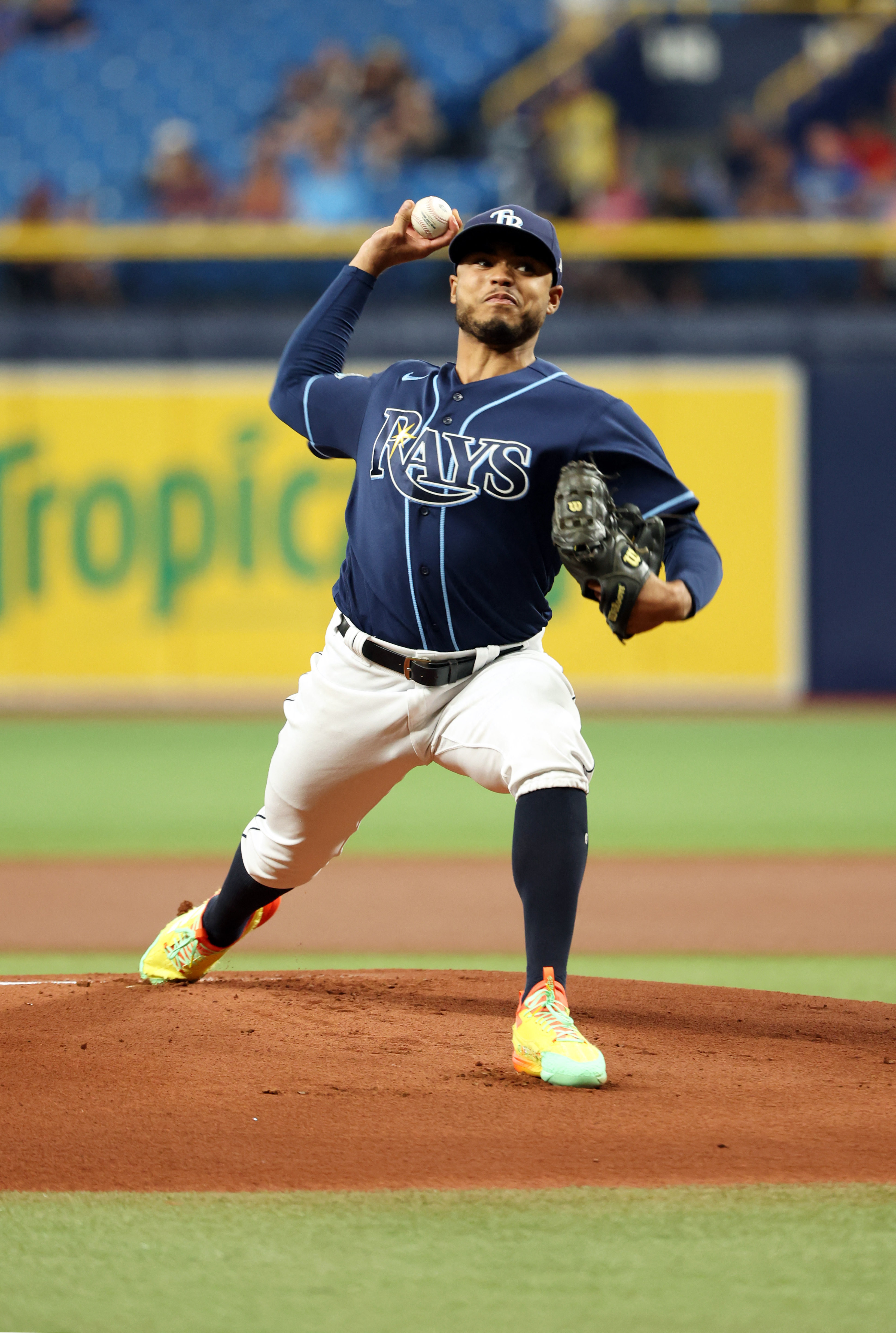 MLB: Tampa Bay Rays - Photo Day