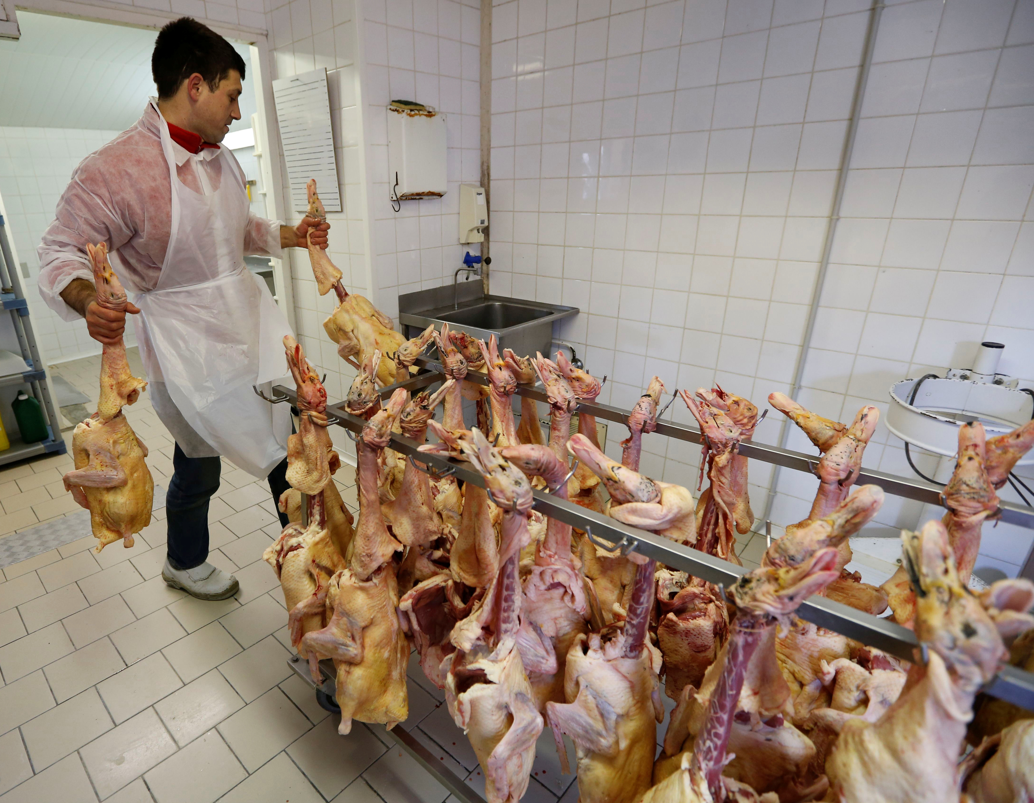 An employee works on a rack of slaughtered ducks at a poultry farm in Eugenie les Bains