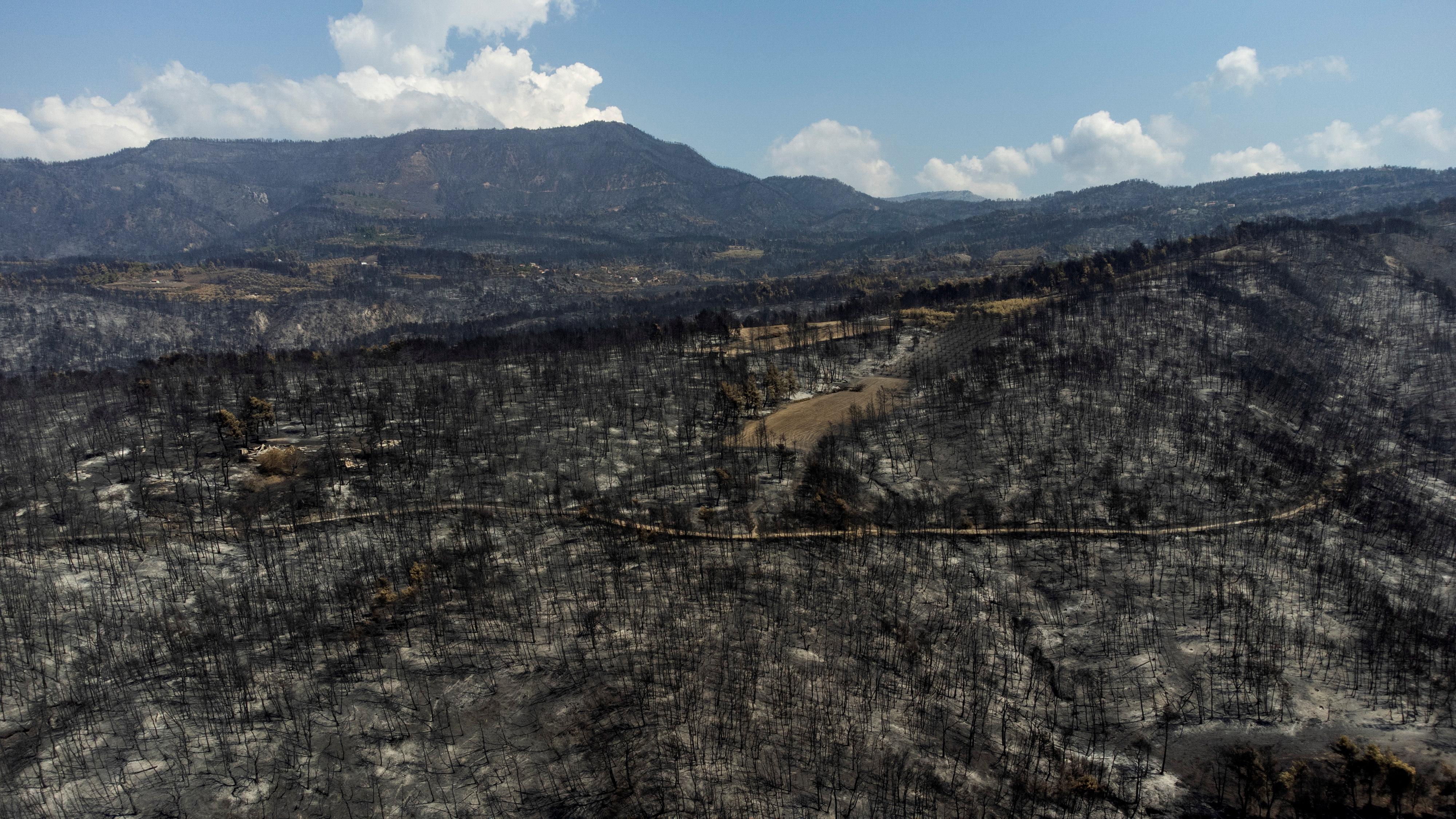 Wildfire on the island of Evia