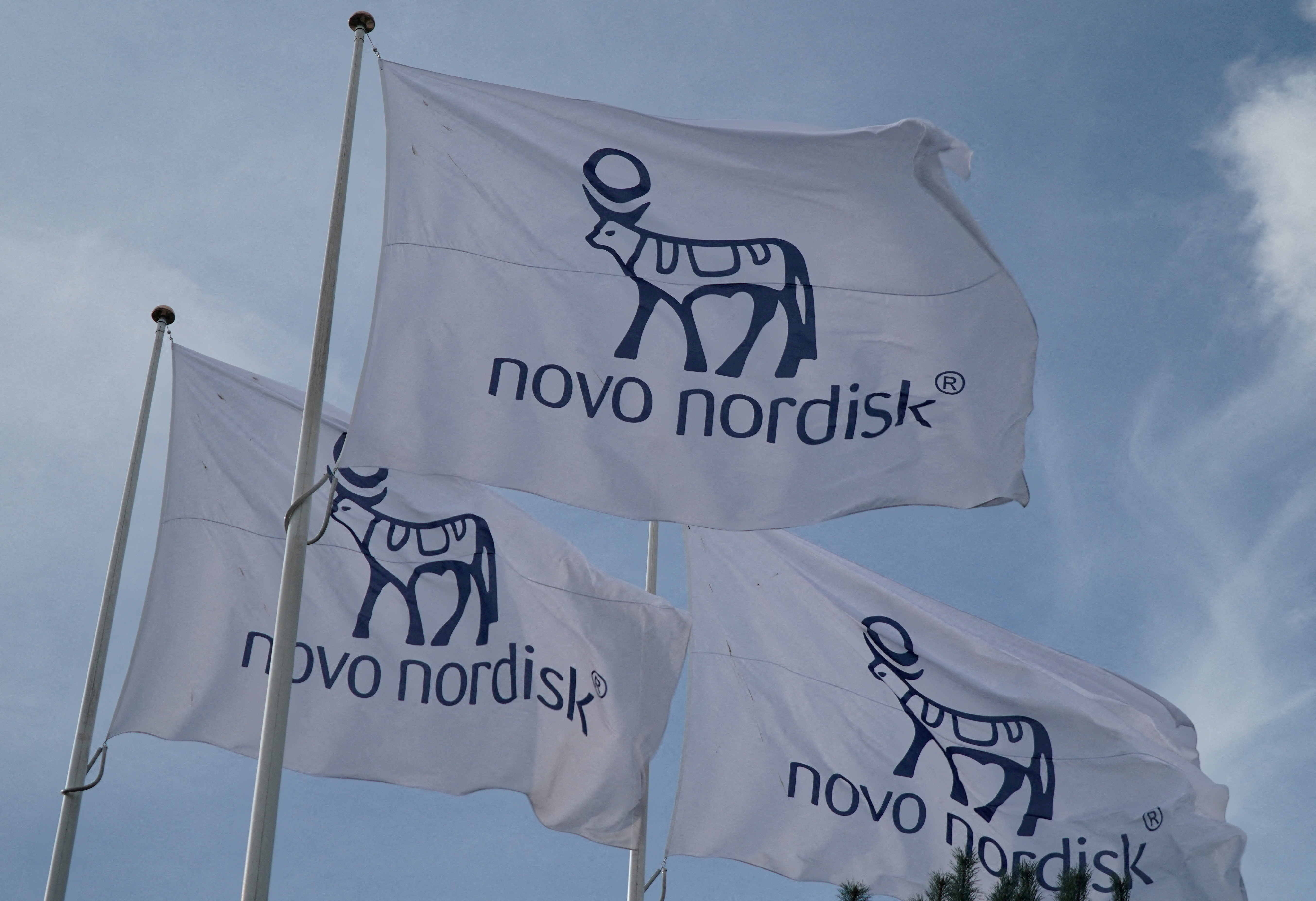 Flags with the Novo Nordisk logo flutter outside their Danish company's offices in Copenhagen