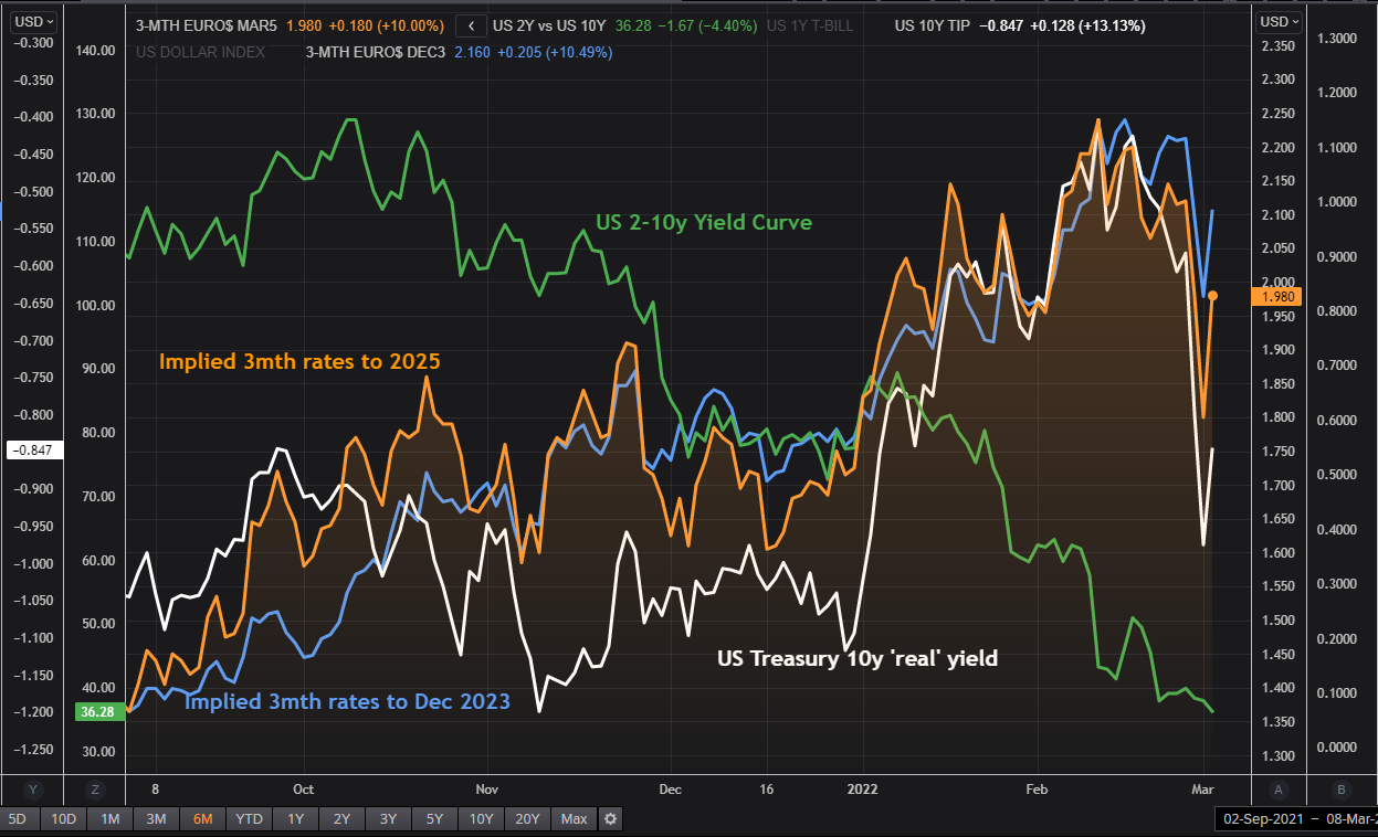 US Terminal Rates and Yield Curve
