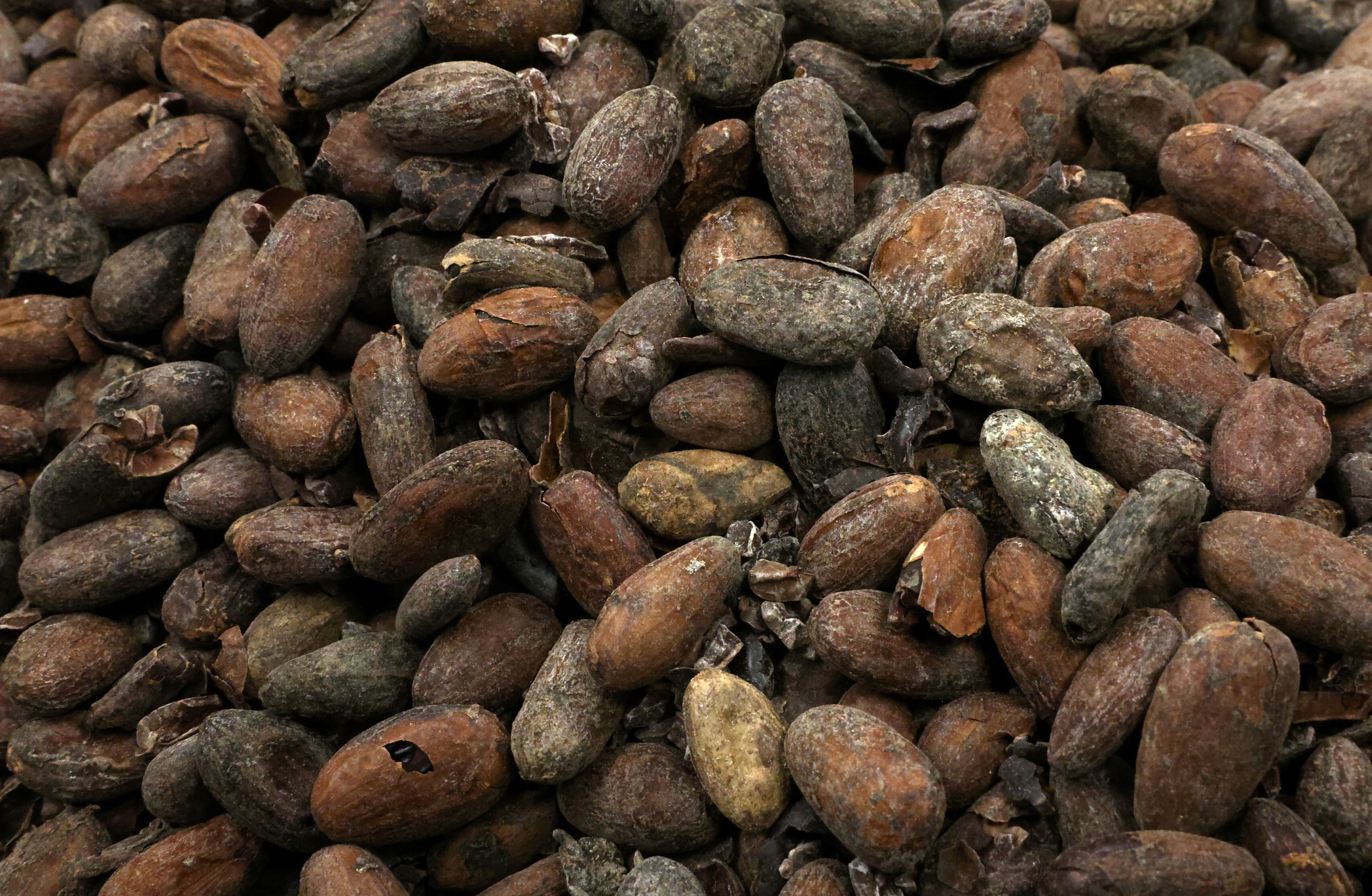 Belgian chocolate pralines maker Neuhaus in Vlezenbeek