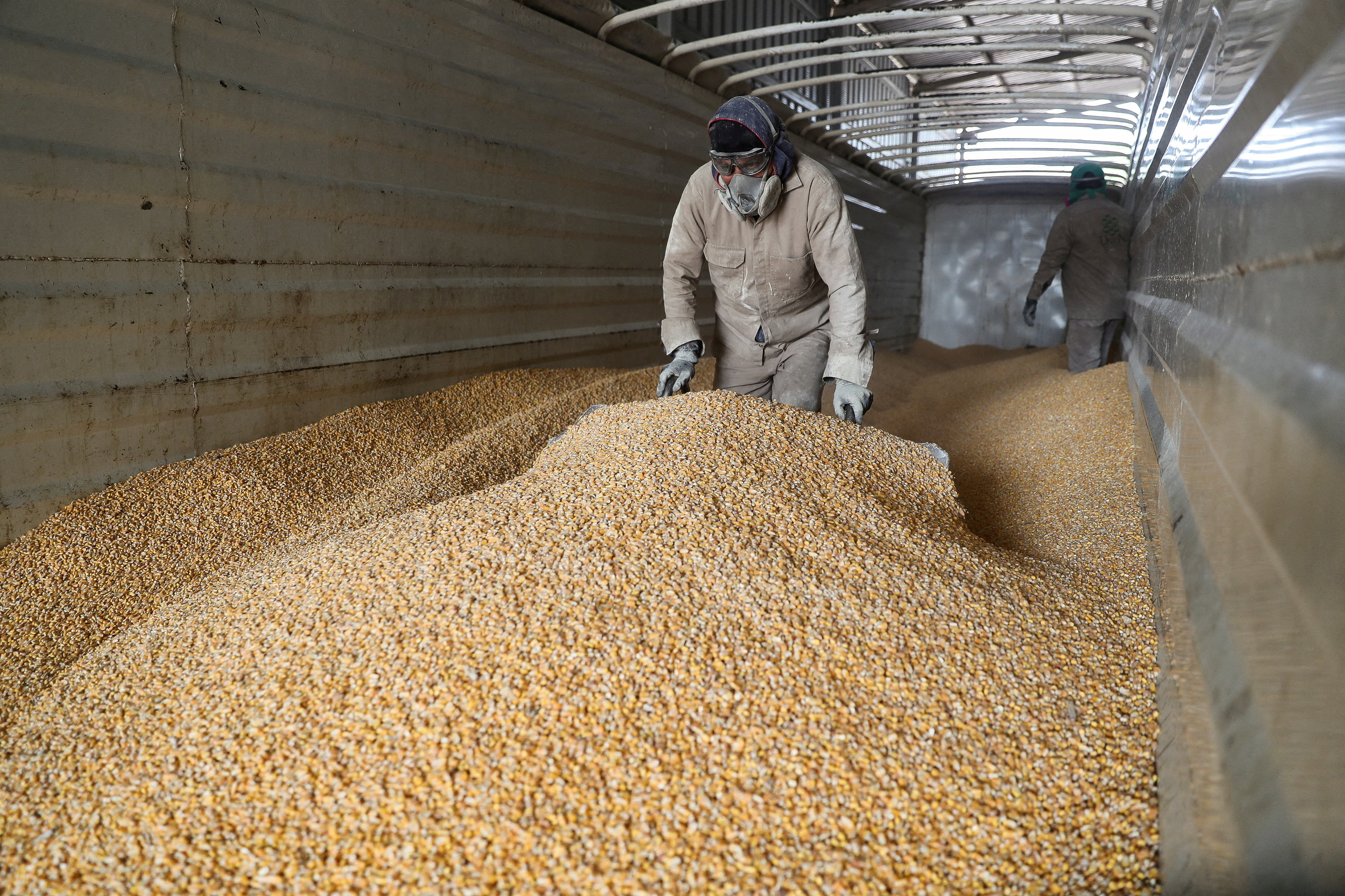 EEUU intensifica reclamos política de maíz de México viola acuerdo comercial – Bloomberg News