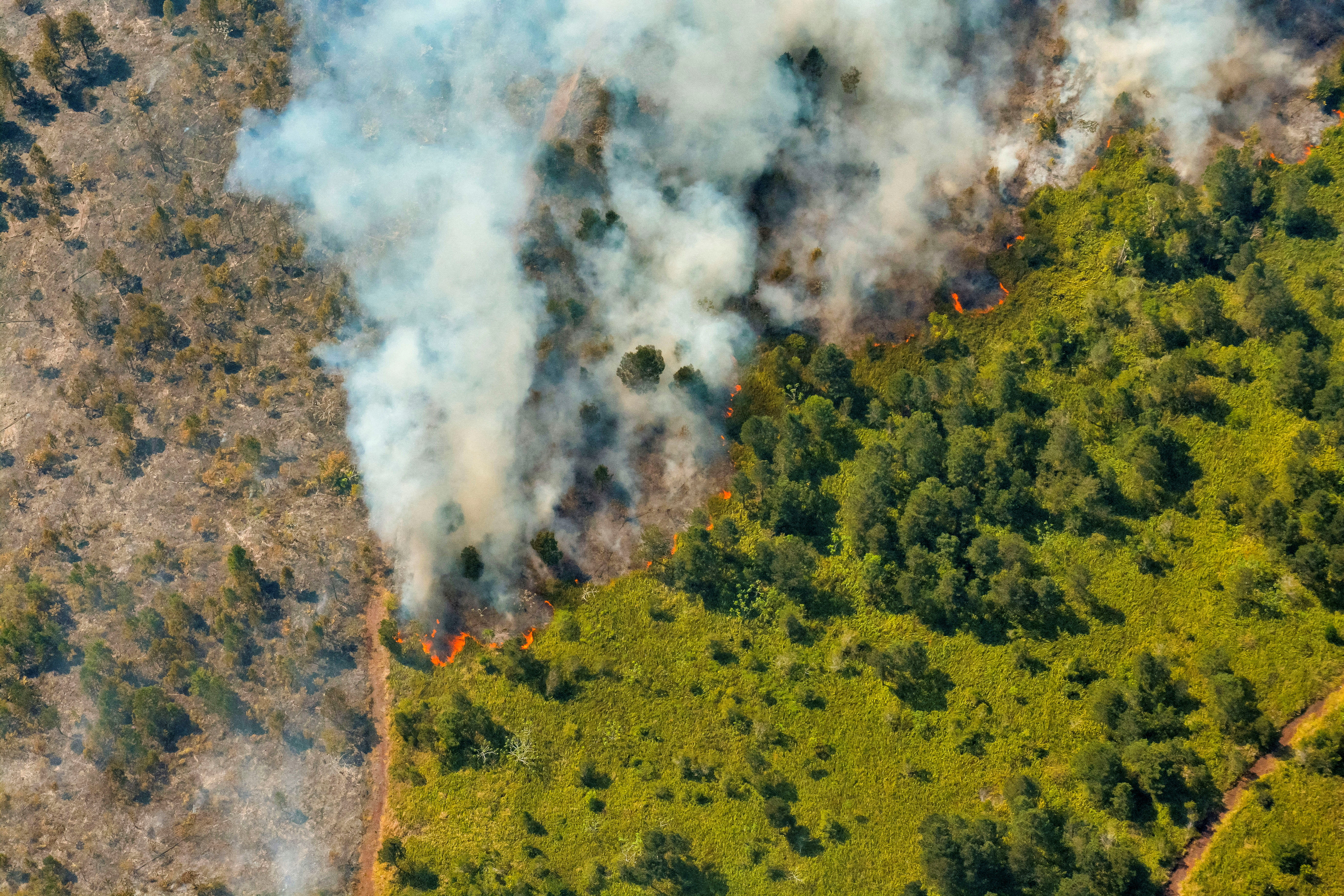 Cuban firefighters battle raging forest fire