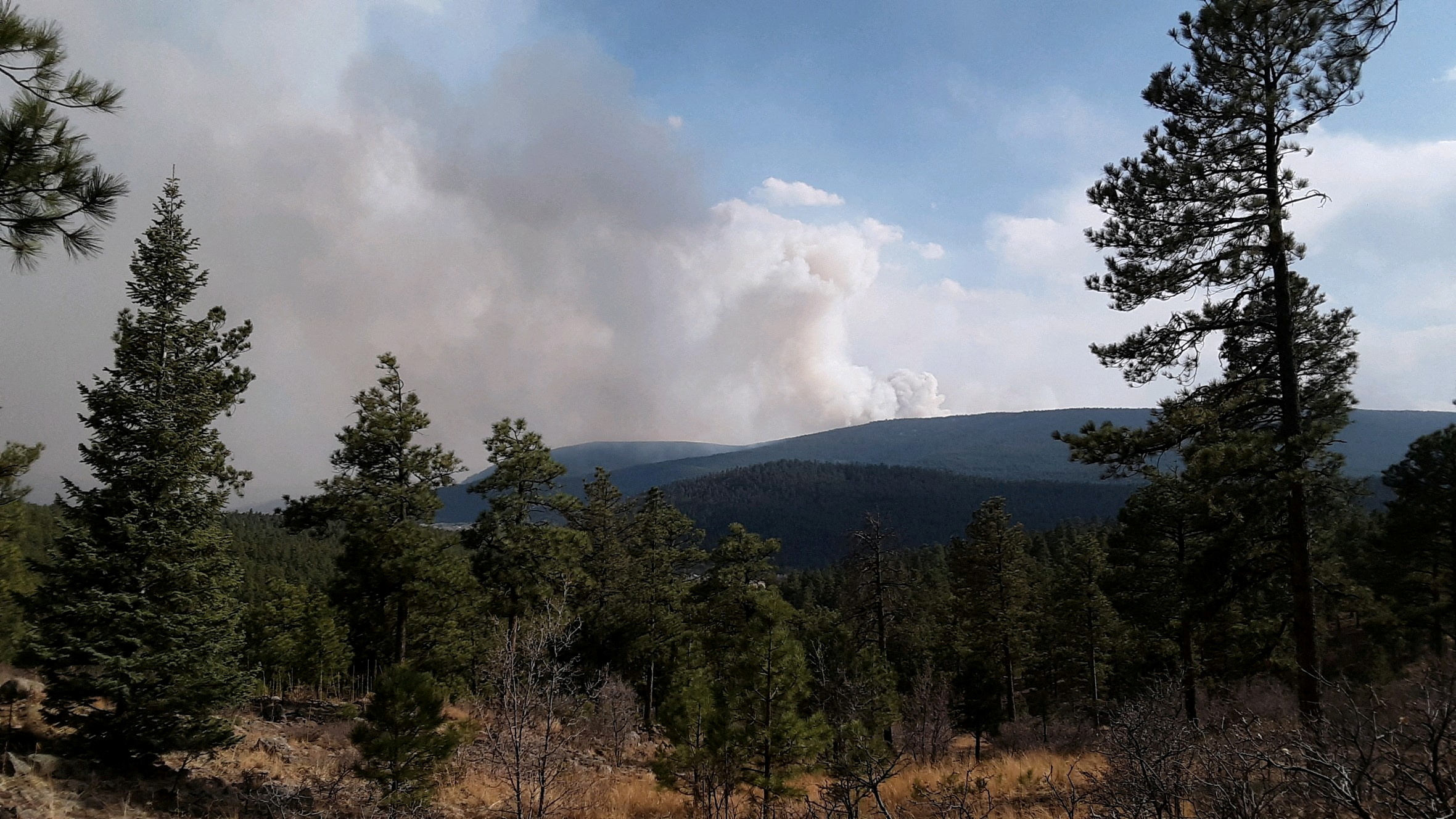 Drought-driven wildfire leaves 