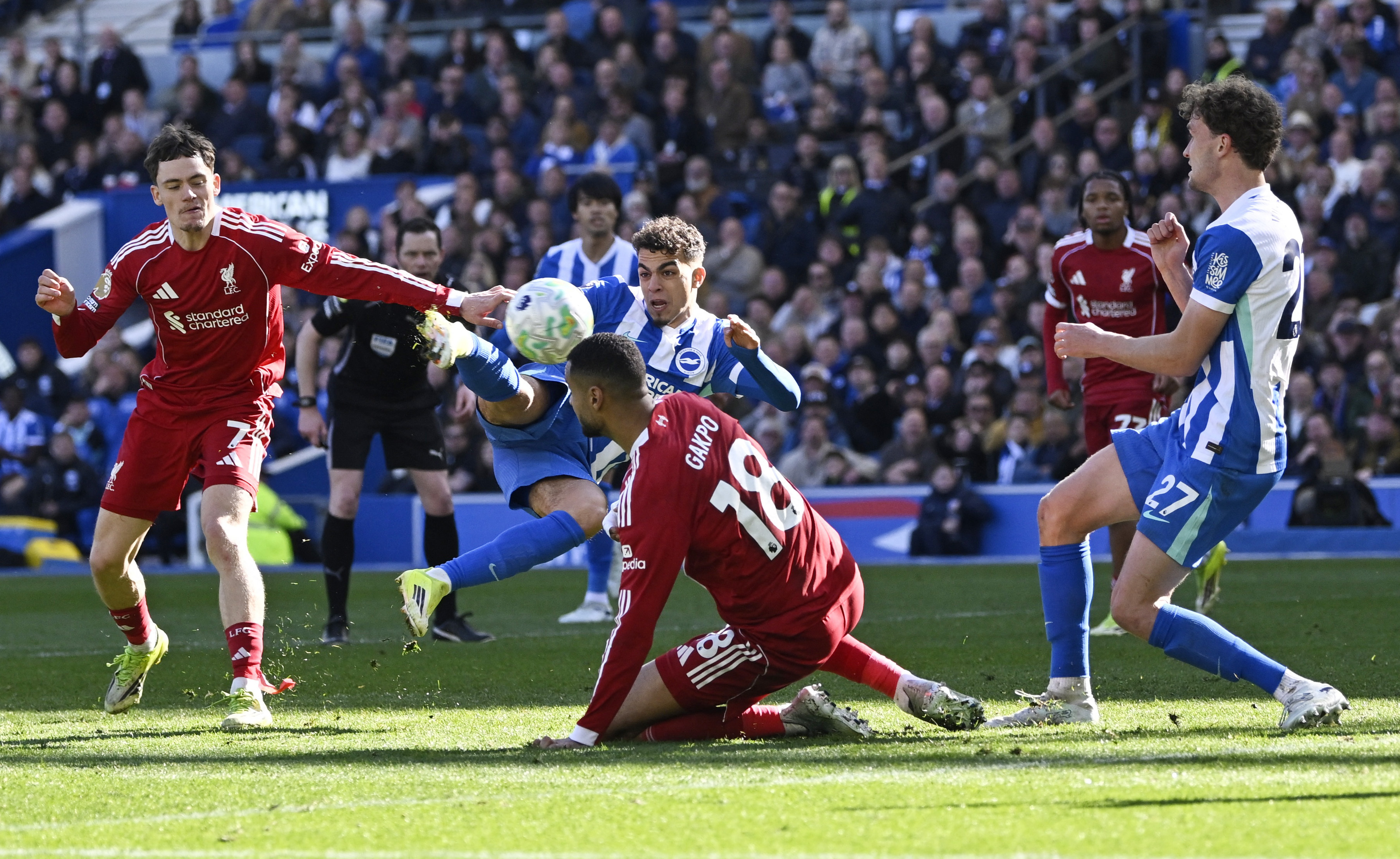 Welbeck double steers Brighton to 2-1 victory over Liverpool | Reuters