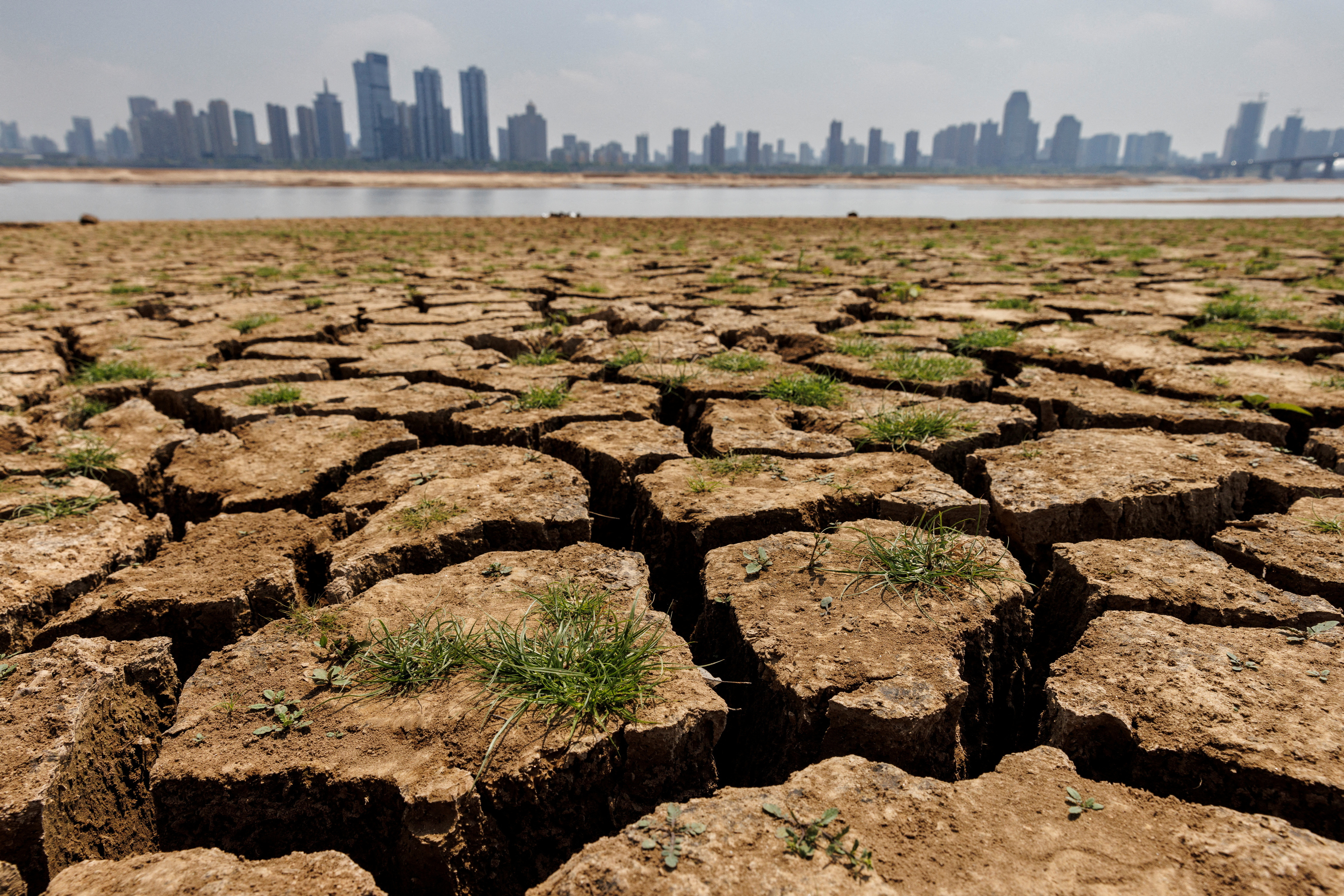 Dying lands: Farmers fight to save the 'skin of the Earth' - World