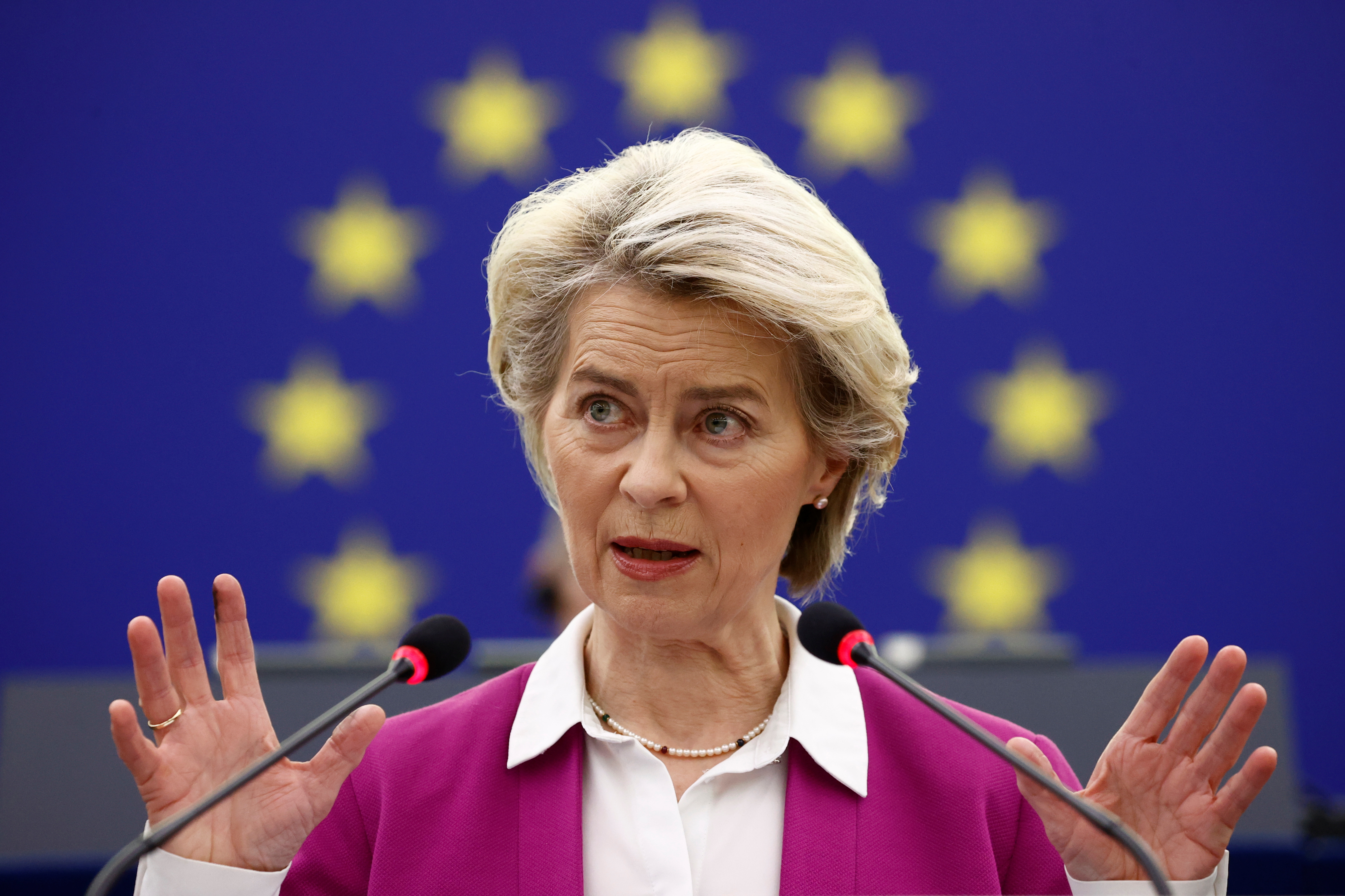 European Commission President Ursula von der Leyen addresses EU parliament on the conclusions of the October leaders' summit in Strasbourg, France, November 23, 2021. REUTERS/Christian Hartmann/Pool