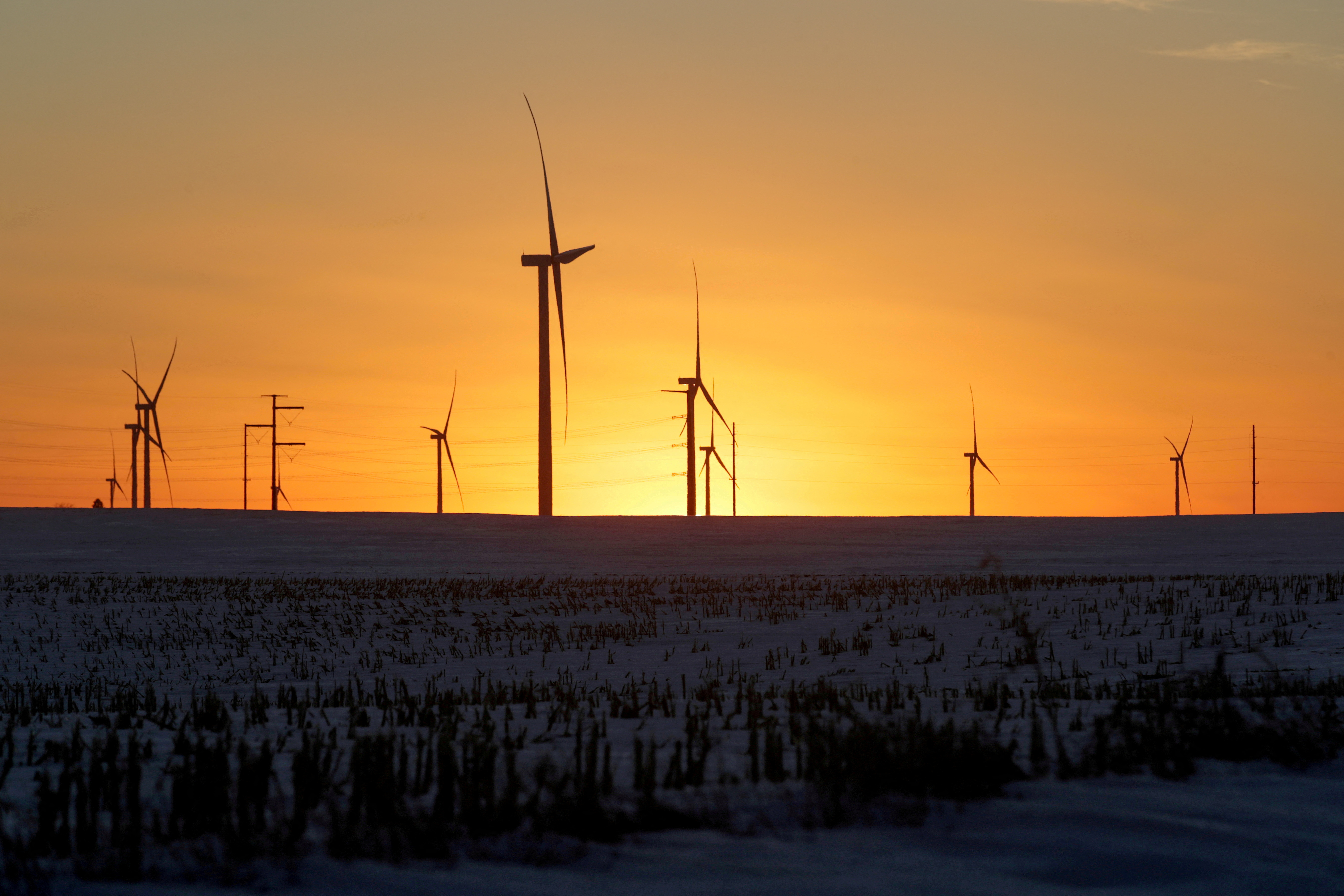A wind farm in Iowa is pictured in 2020