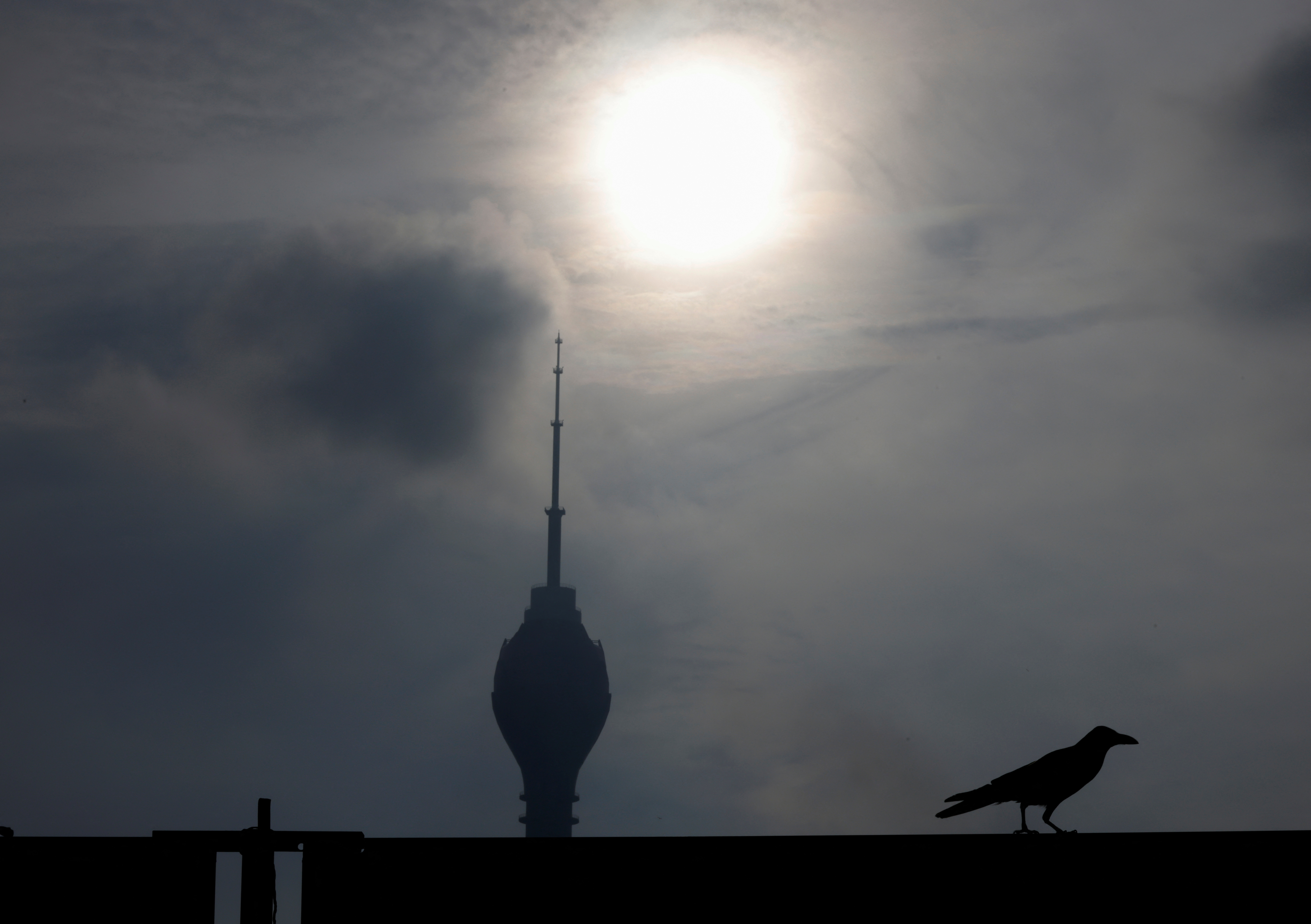 A crow is seen in front of  Lotus Tower, Sri Lanka's tallest building, amid Sri Lanka's economic crisis, in Colombo