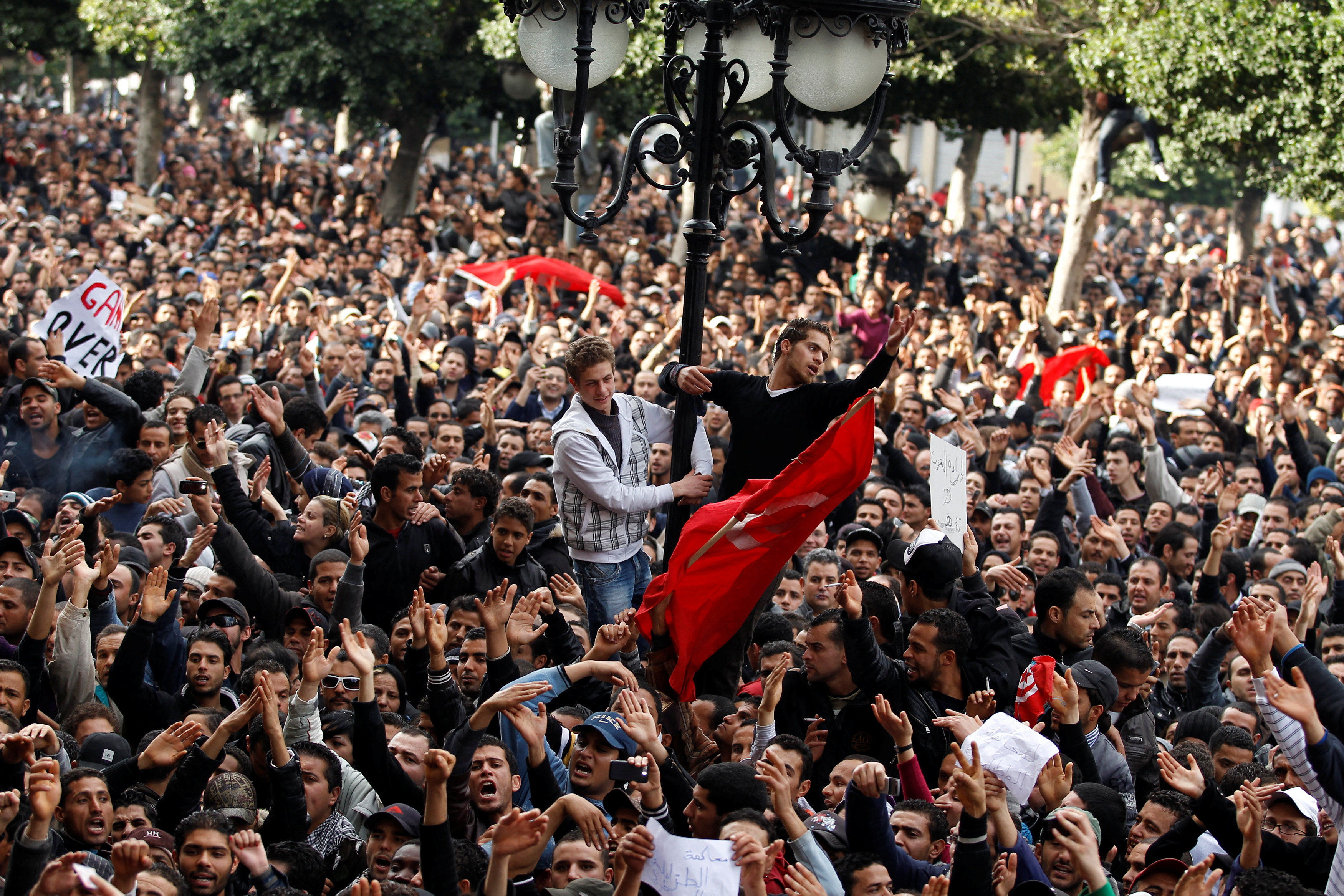 Protesters demonstrate against Tunisian President Zine el-Abidine Ben Ali in Tunis